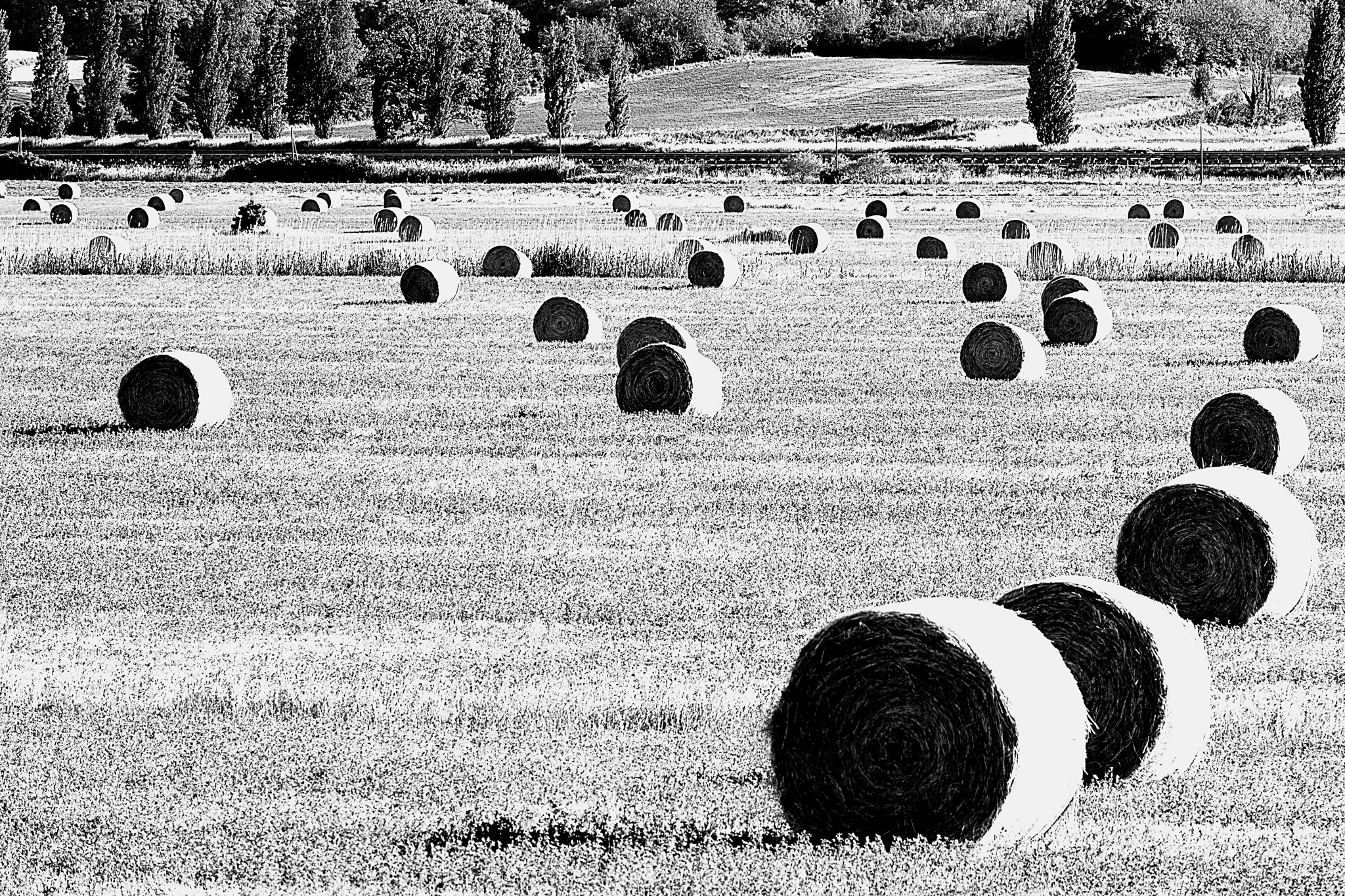 rotoball bassa val di chiana