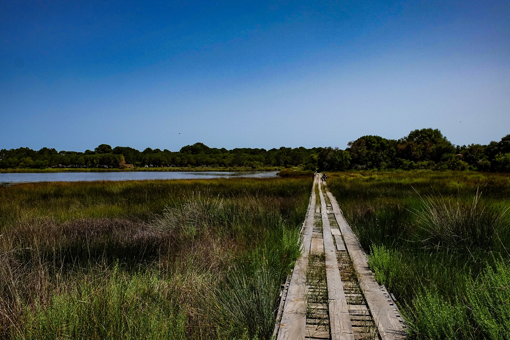 la passerella sulla palude...verso il mare