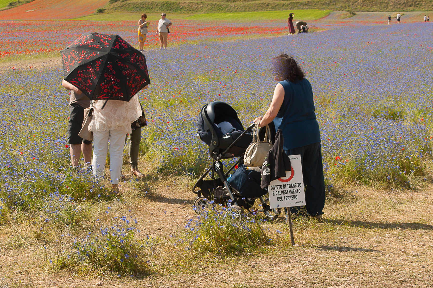 Let's just do a selfie