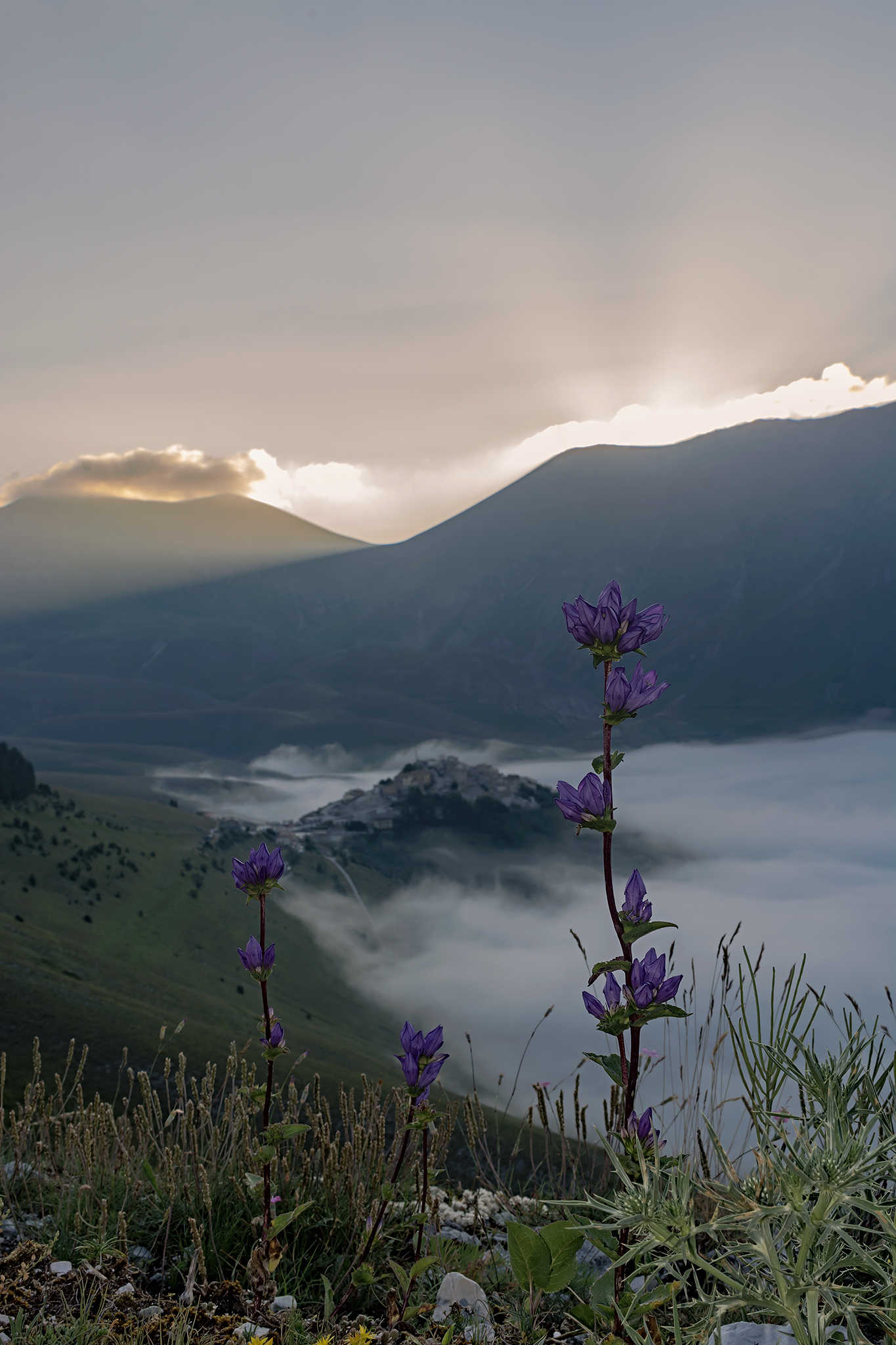 Sunrise at............