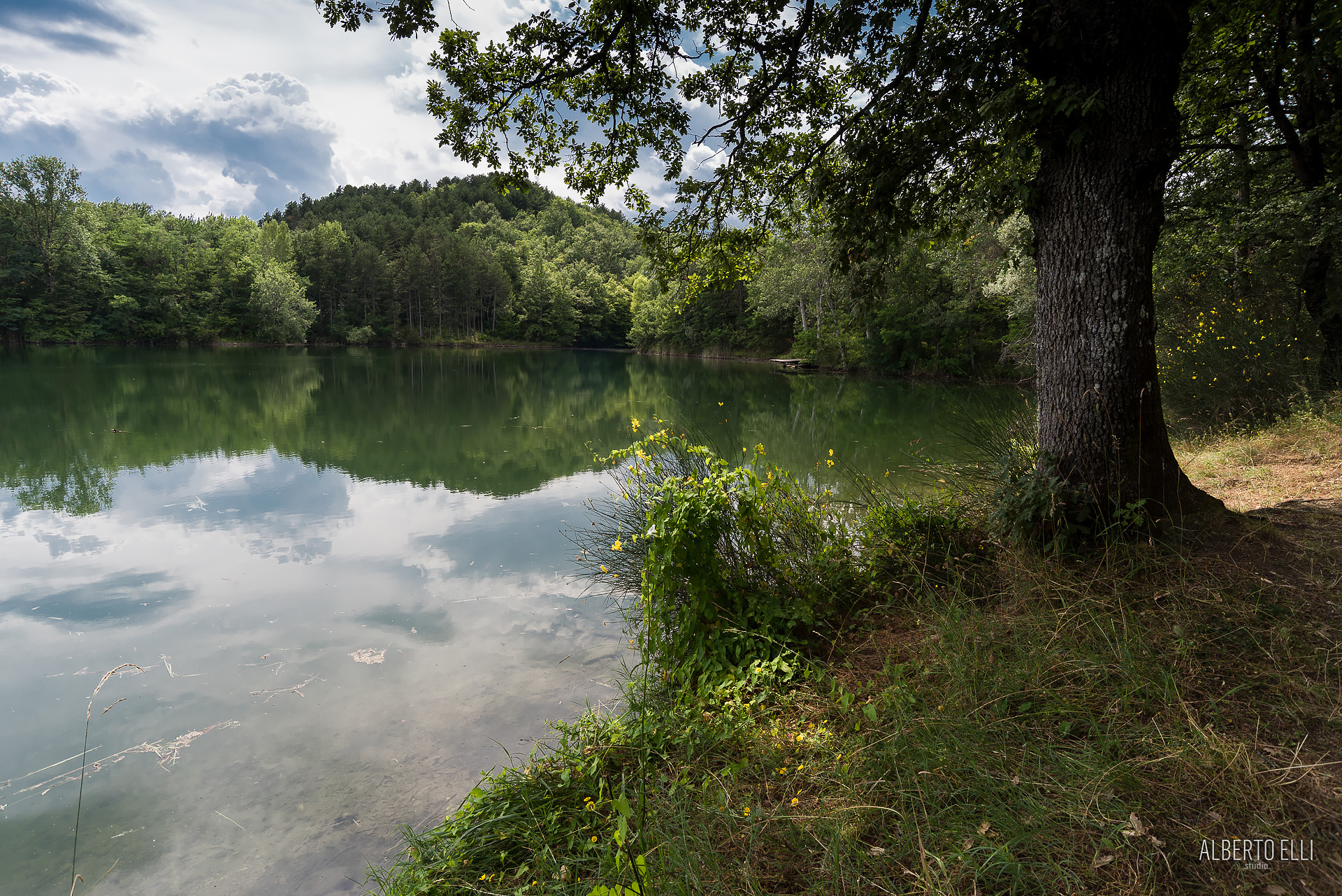 Casentino's foreshortening
