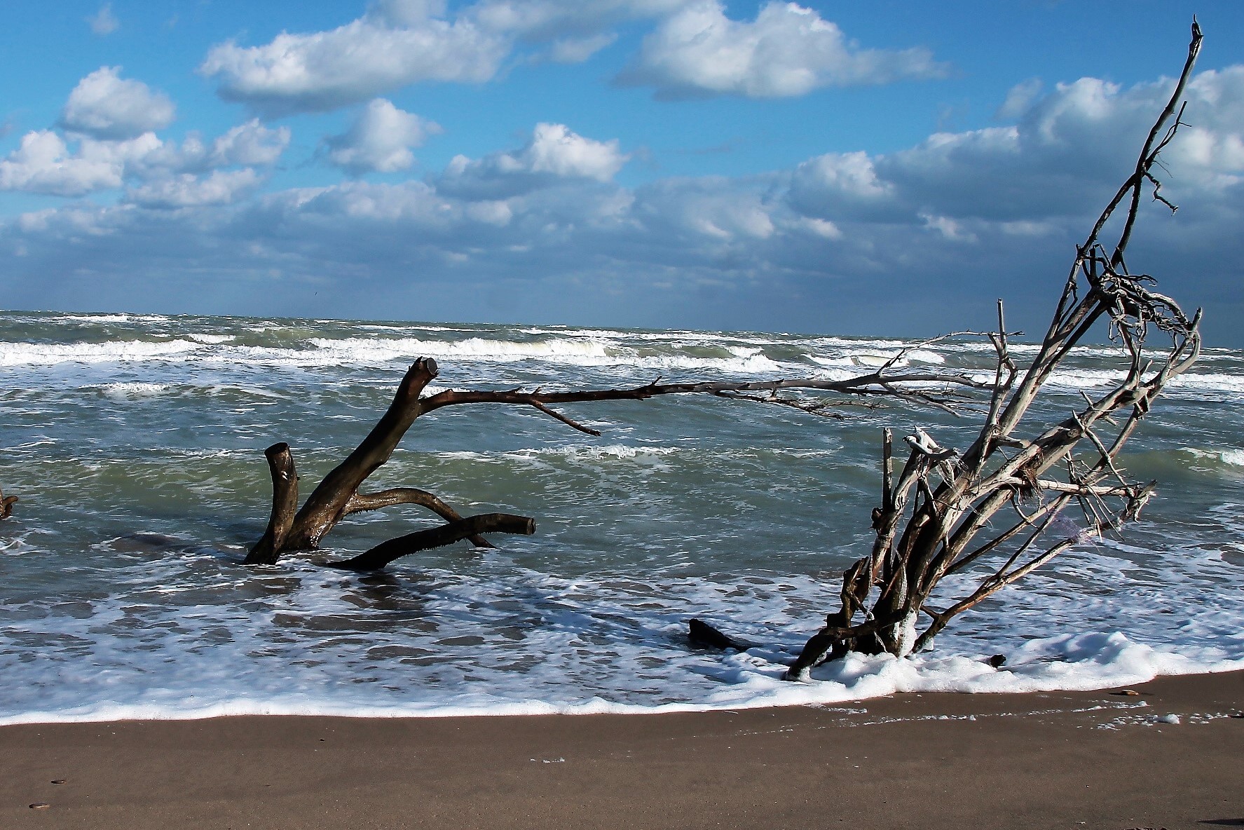 La prima maretta dell'anno
