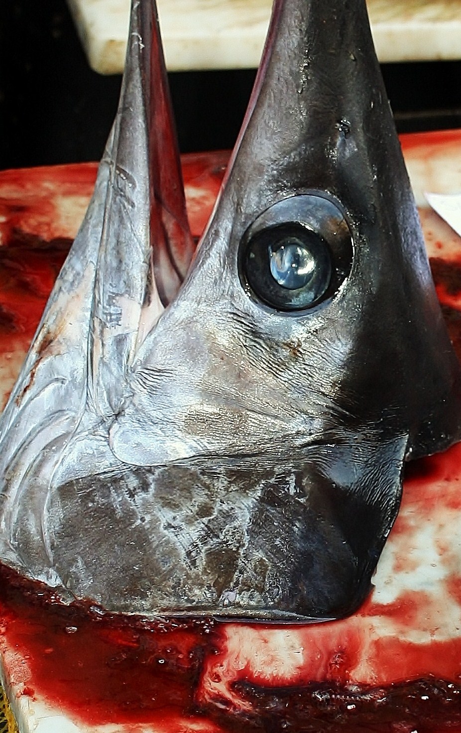 Here you see all the hand of the man