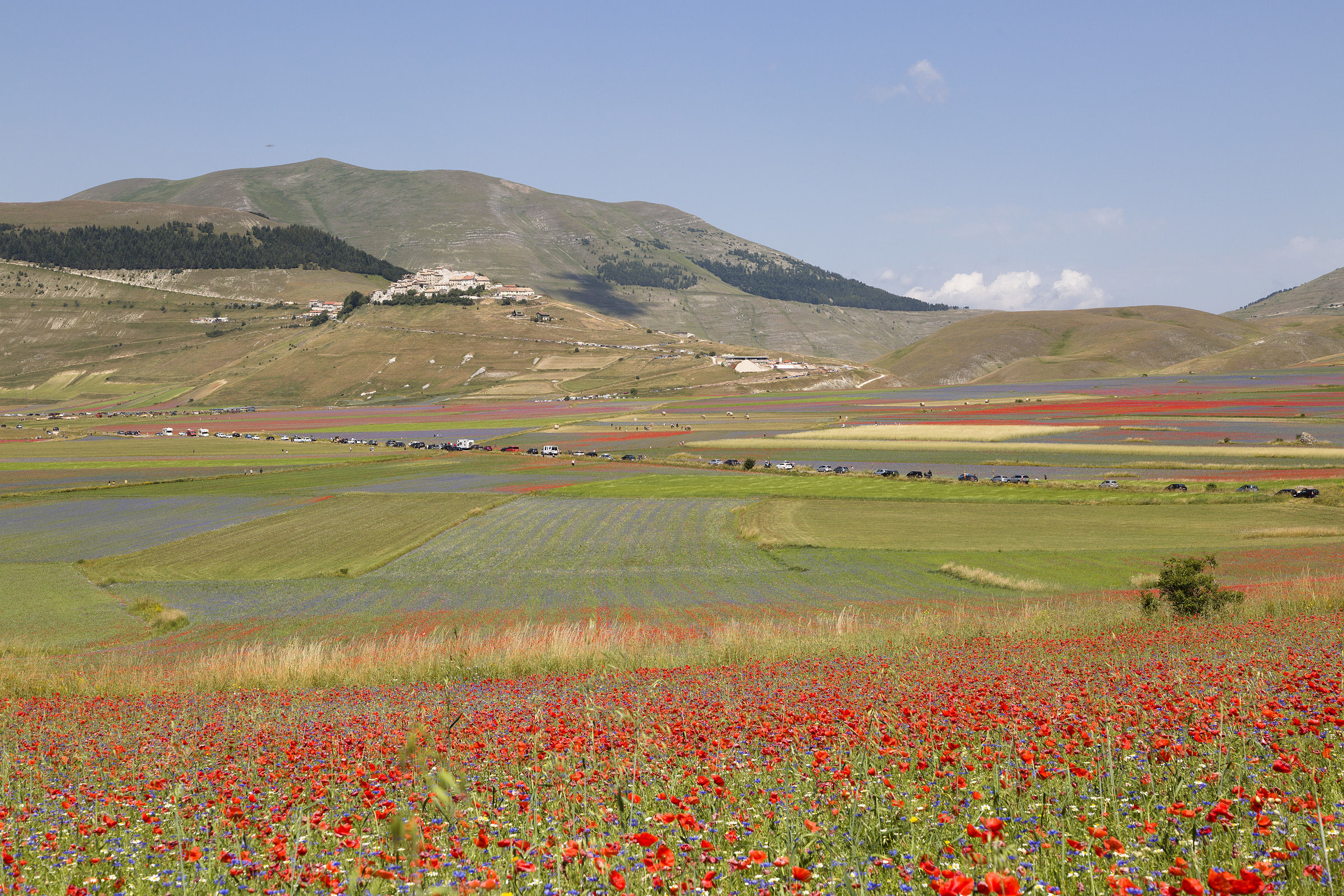 ...e la vita continua...