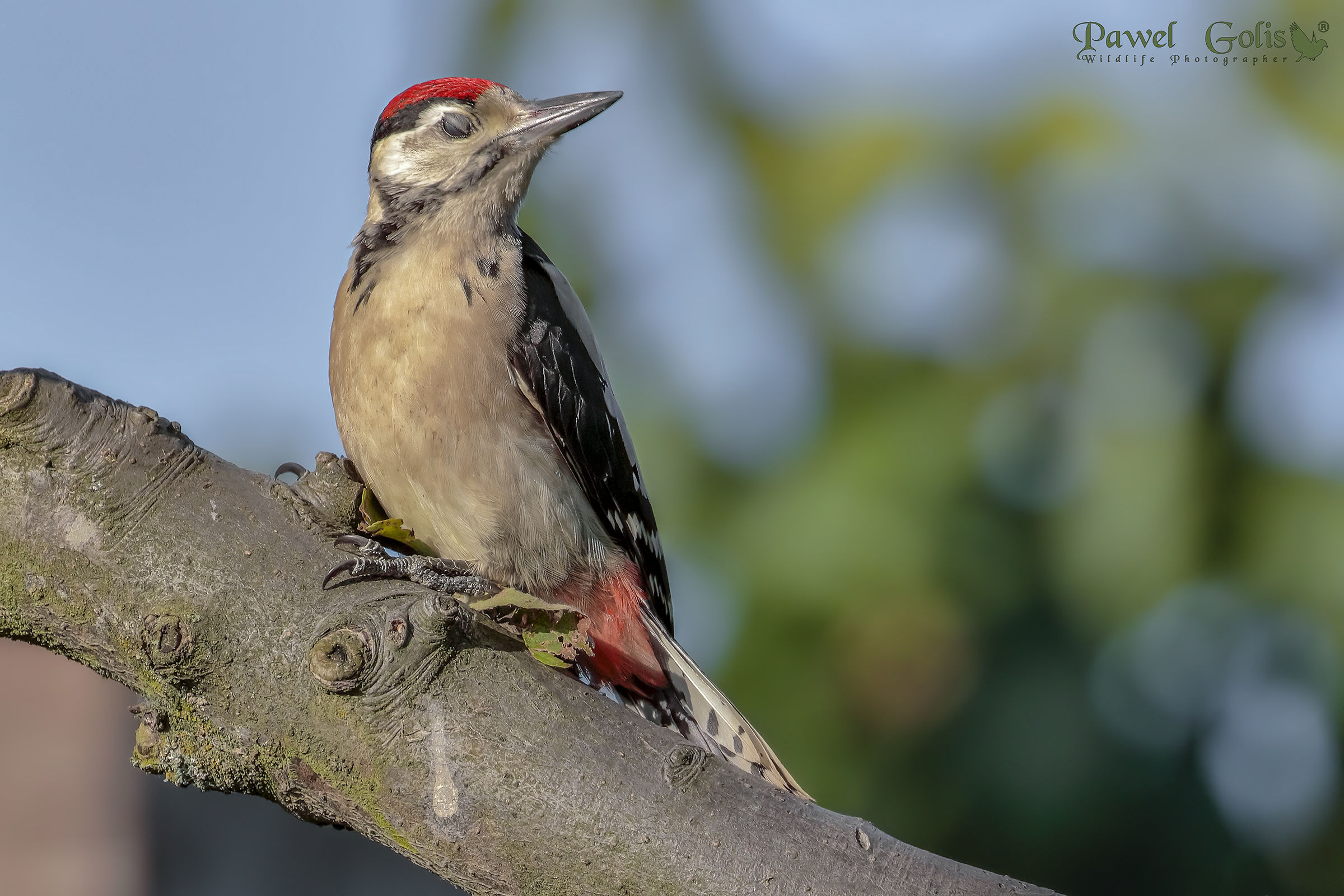 Let me get some sleep