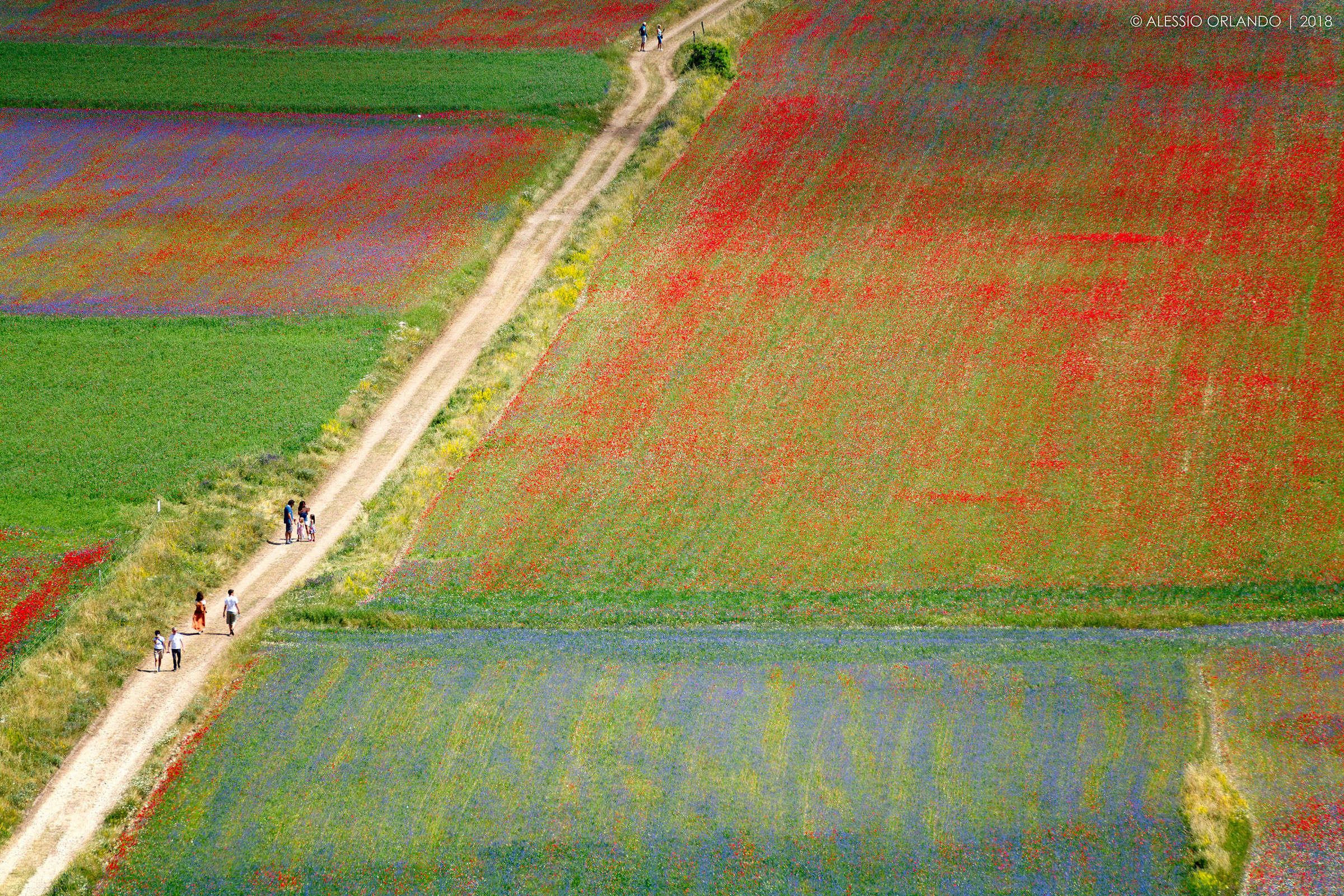 Walking in the colors