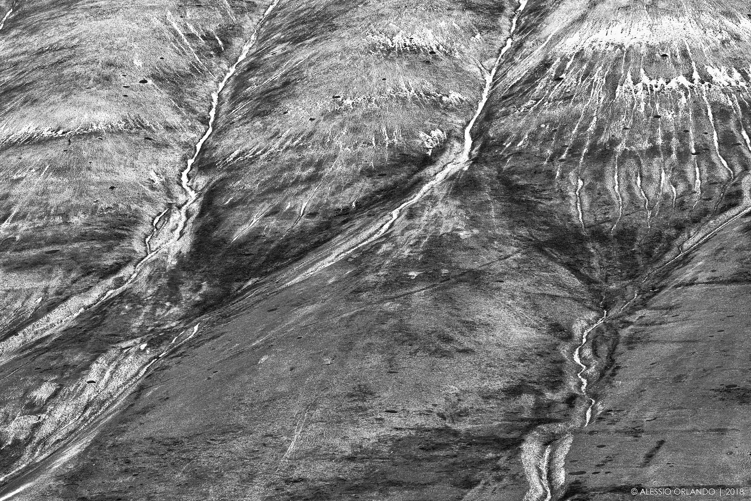 The lines of the vector