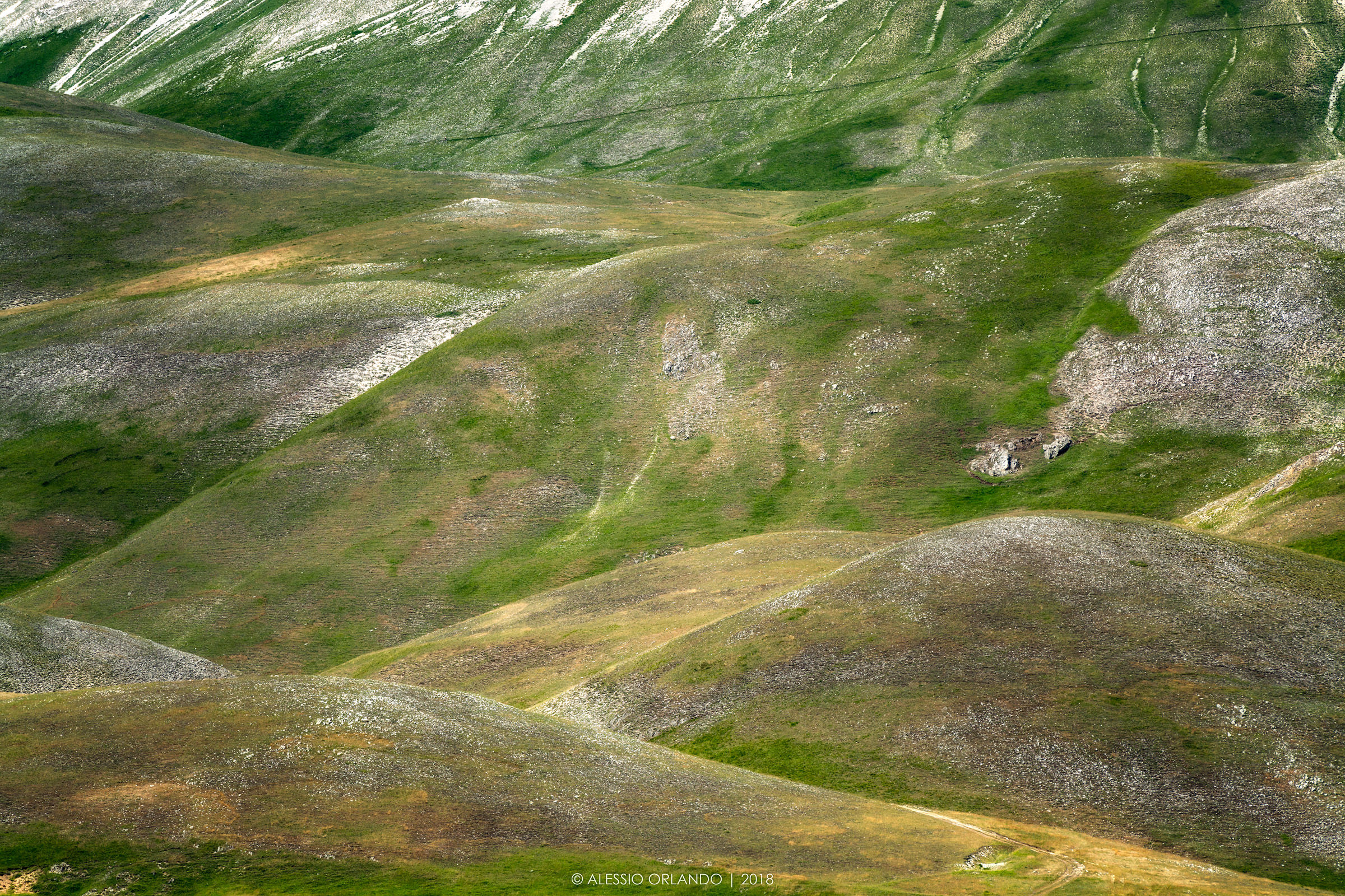 The vector and its colors