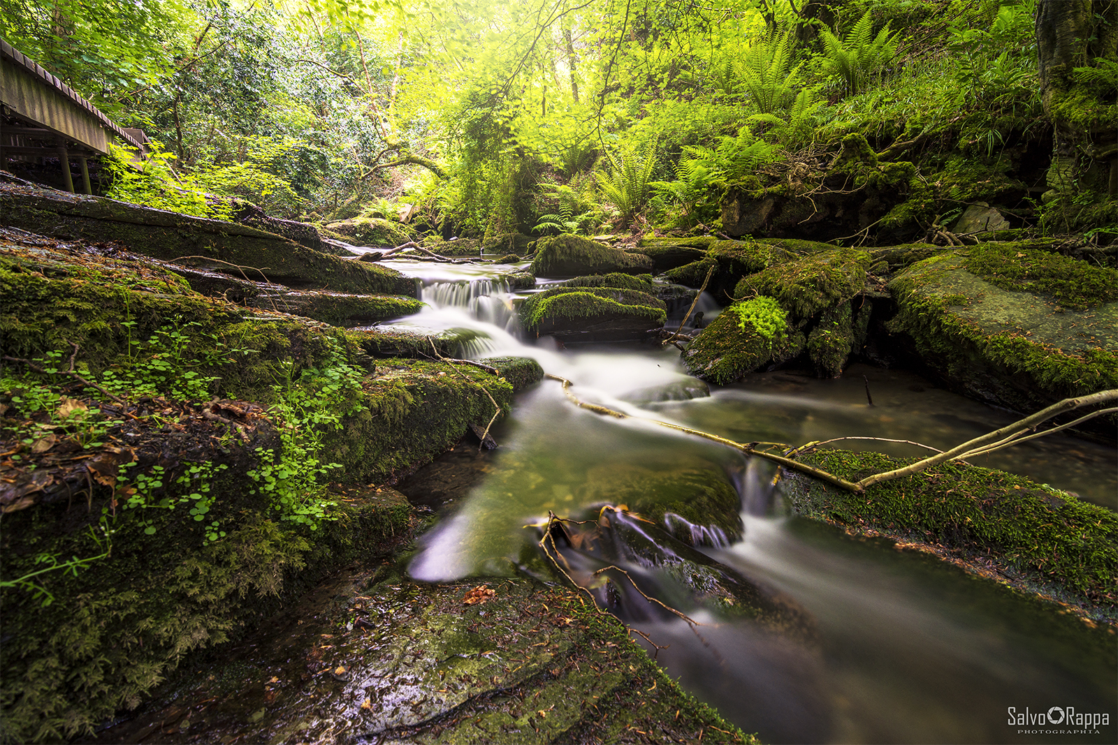 St Nectan's Glen