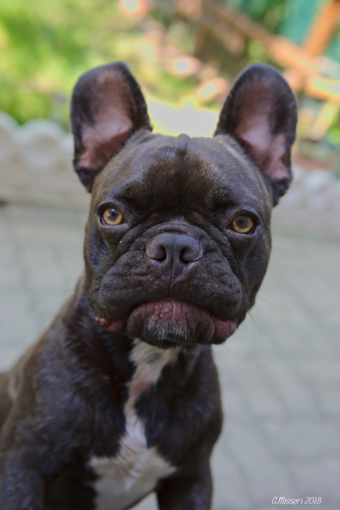 Zeus