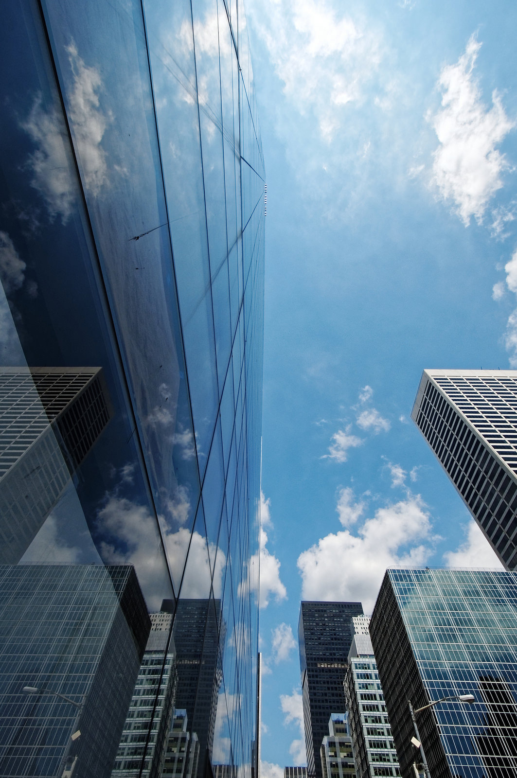 New York Reflections