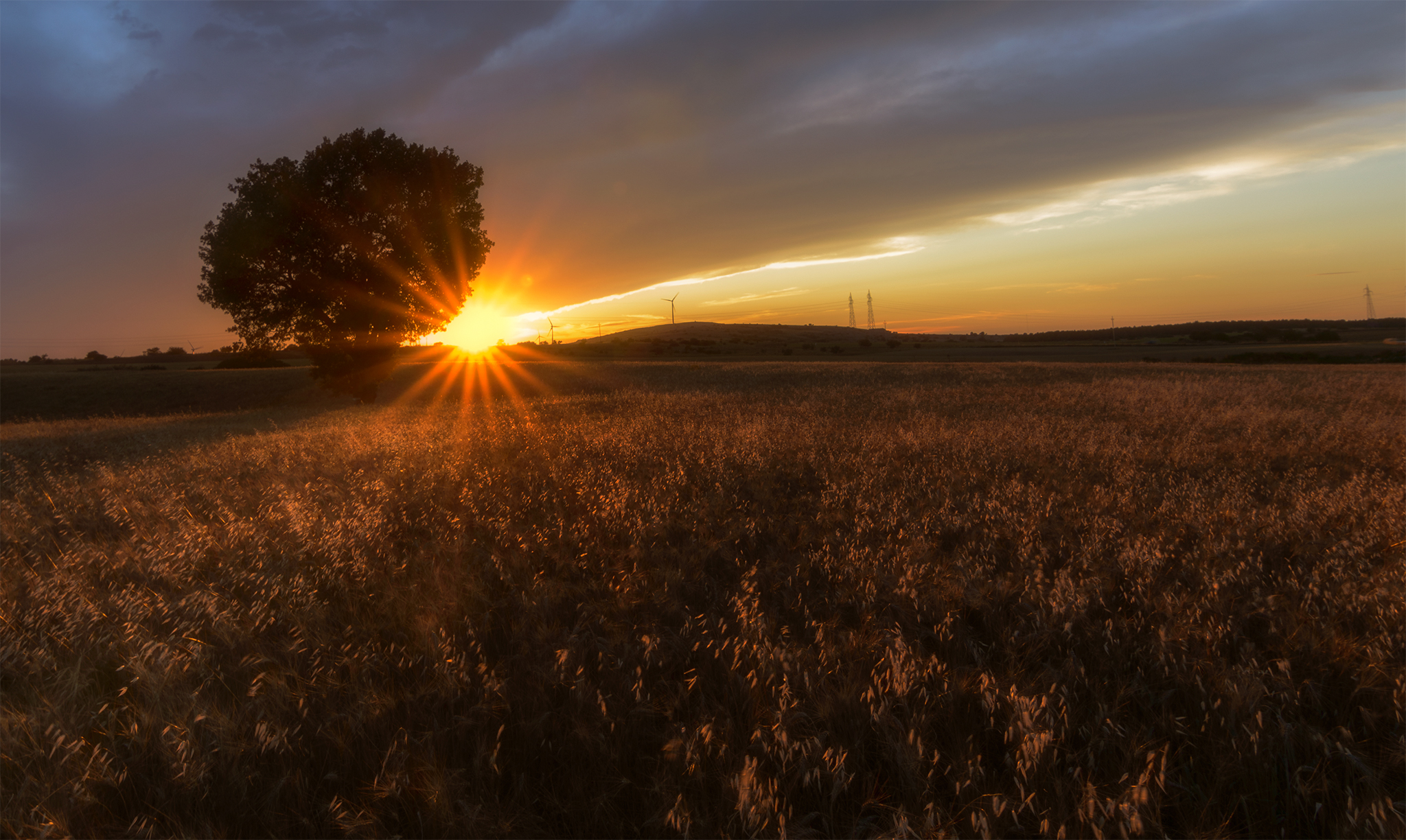 tramonti delle murge