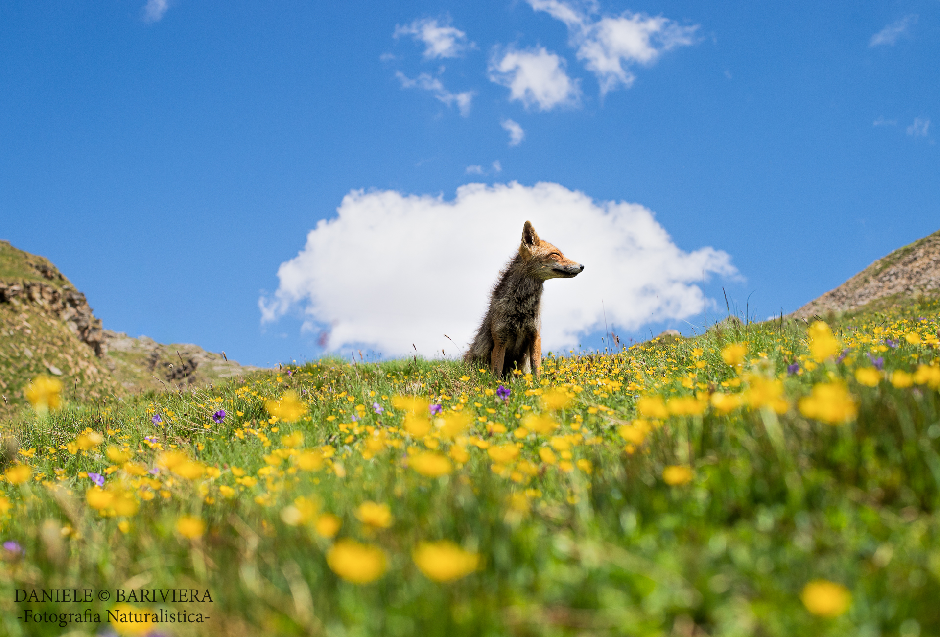 La Principessa in Paradiso