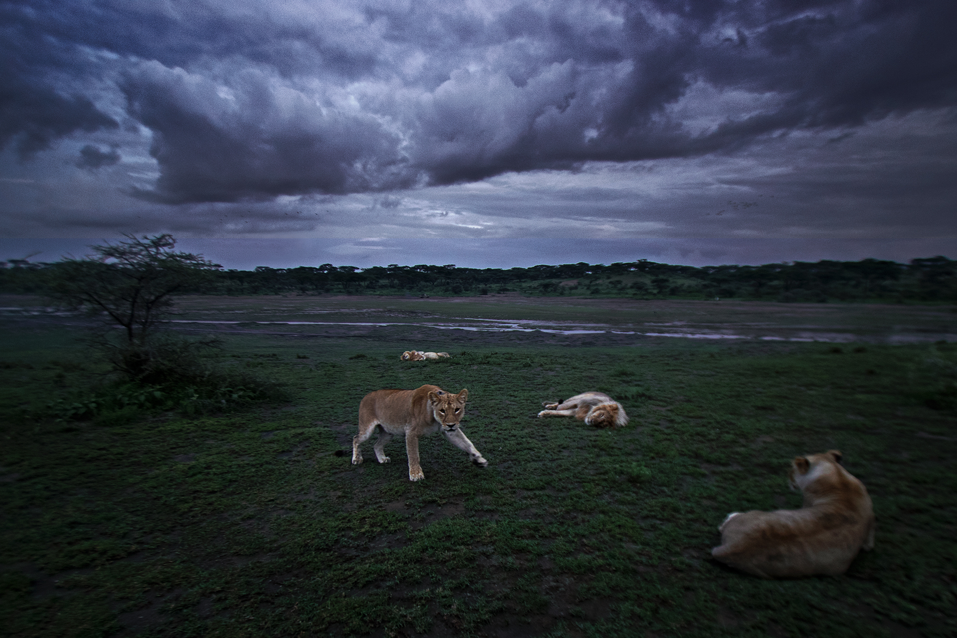 La quiete dopo la tempesta