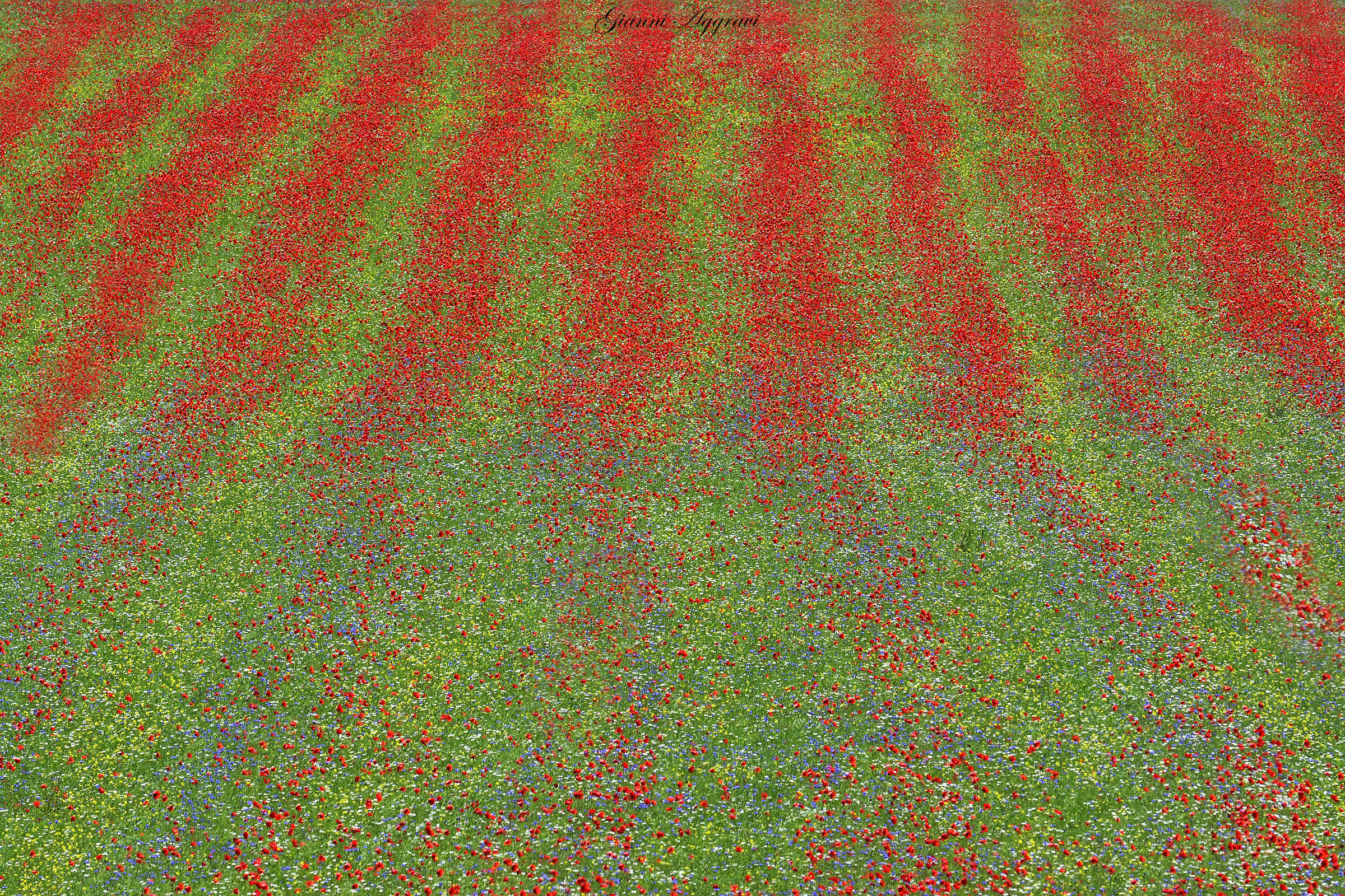 The scratches of Castelluccio (2018)