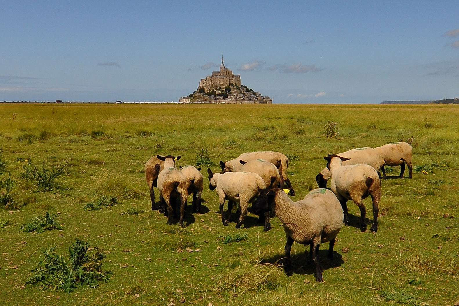 Mont Saint Michel