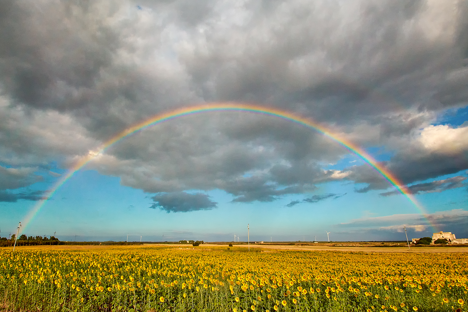 The greatness of nature