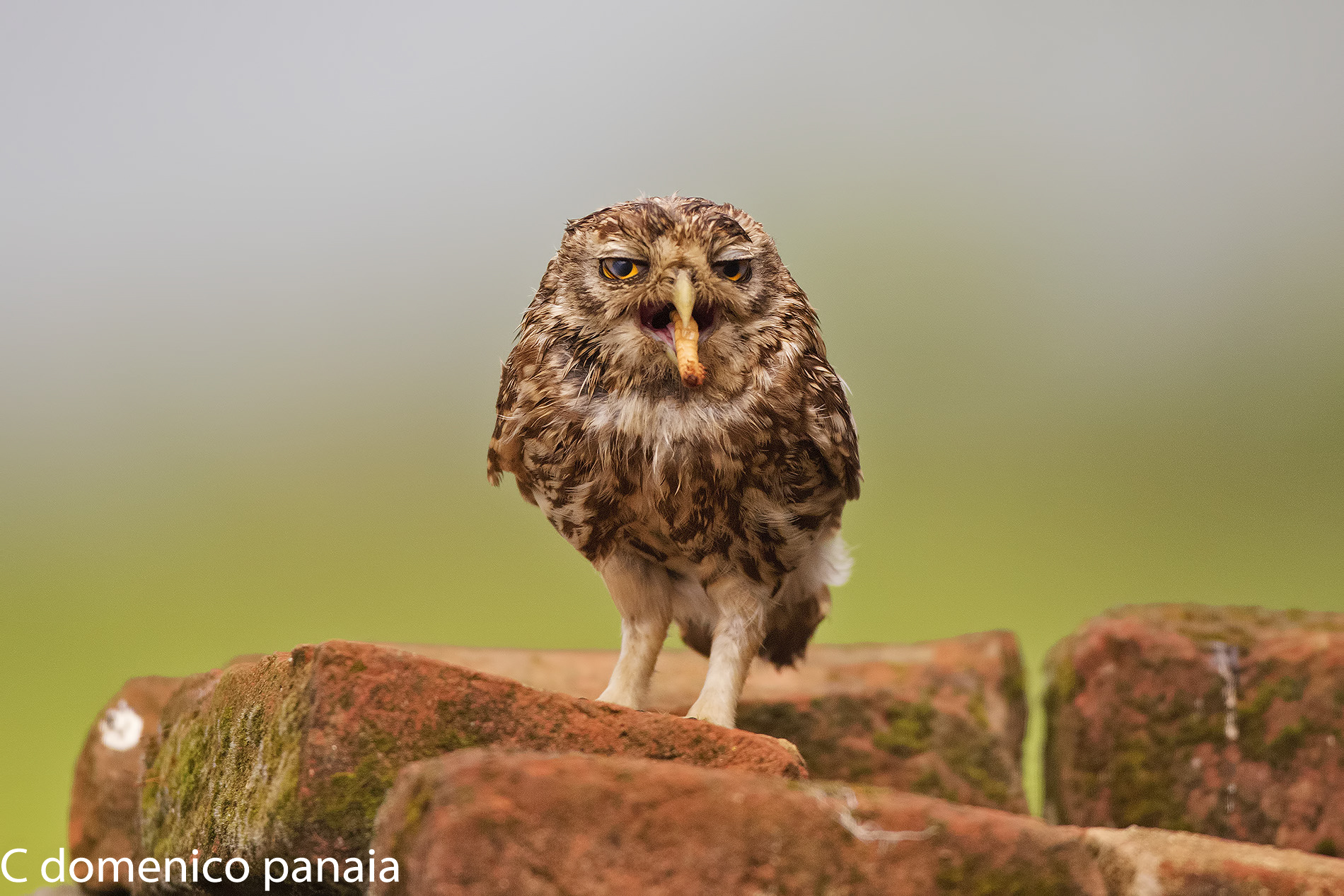 You don't eat with your mouth open