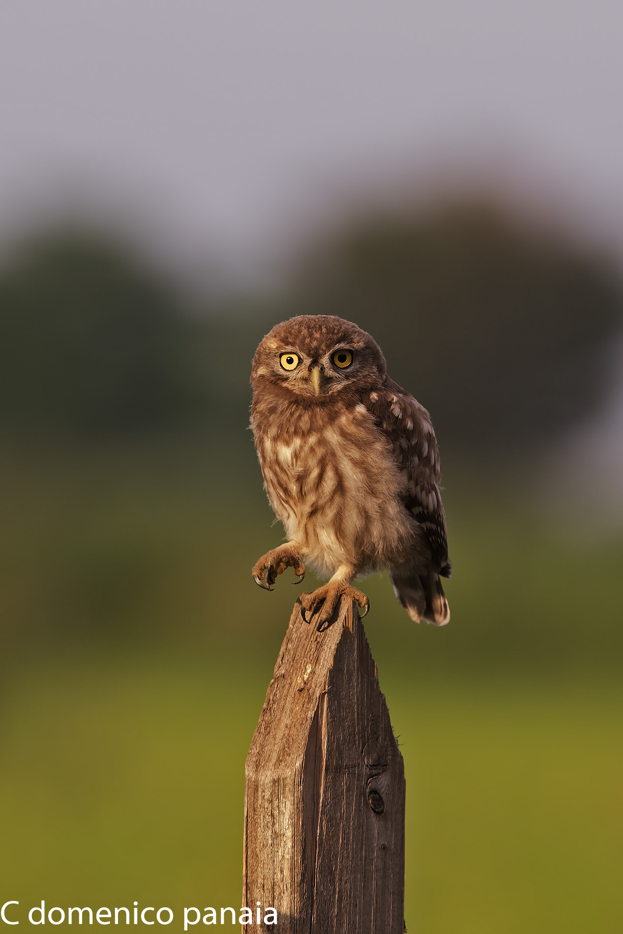 I am small but I see you