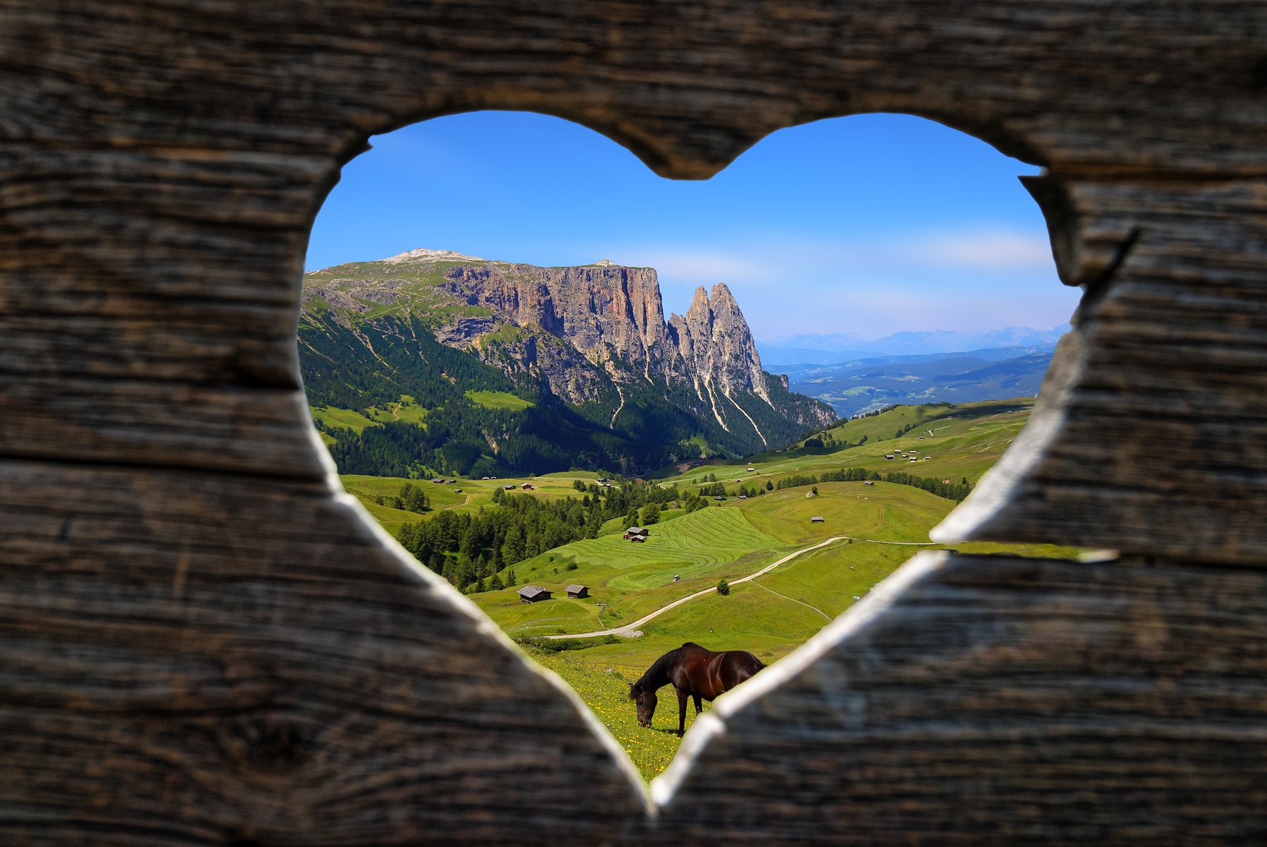I love Alpe di Siusi