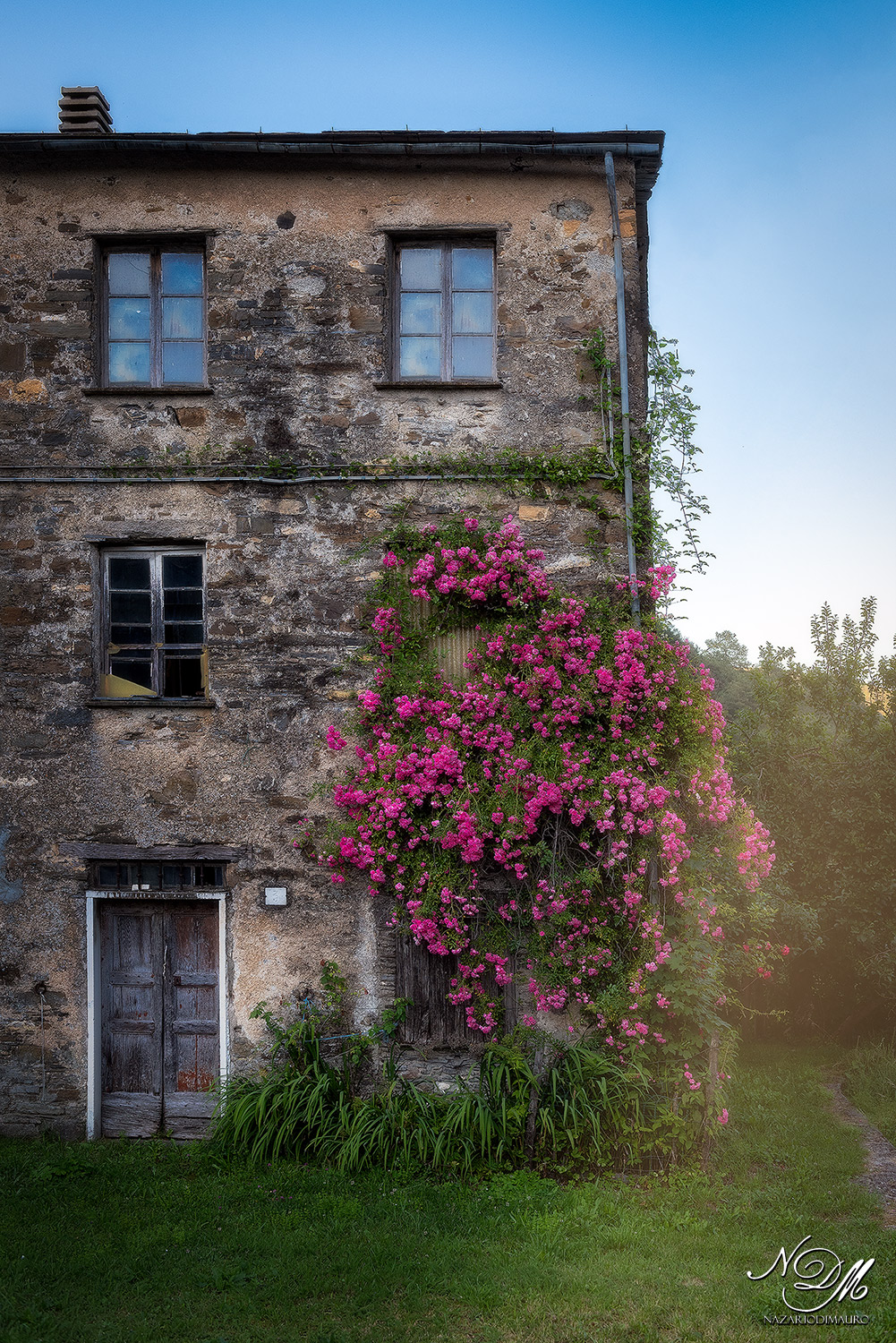 Abandoned Paradise...