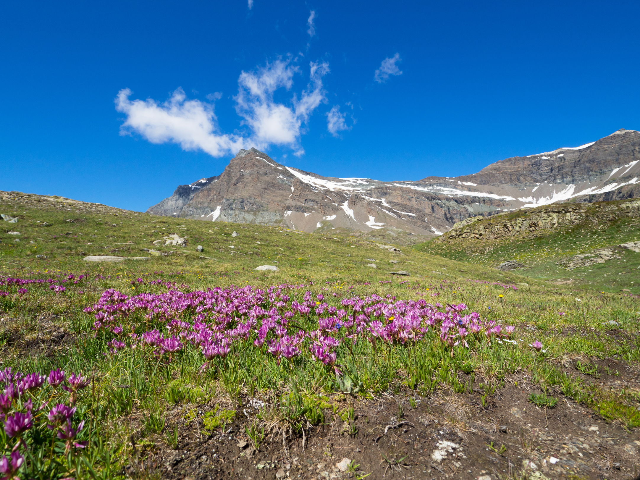 Prima uscita con Olympus