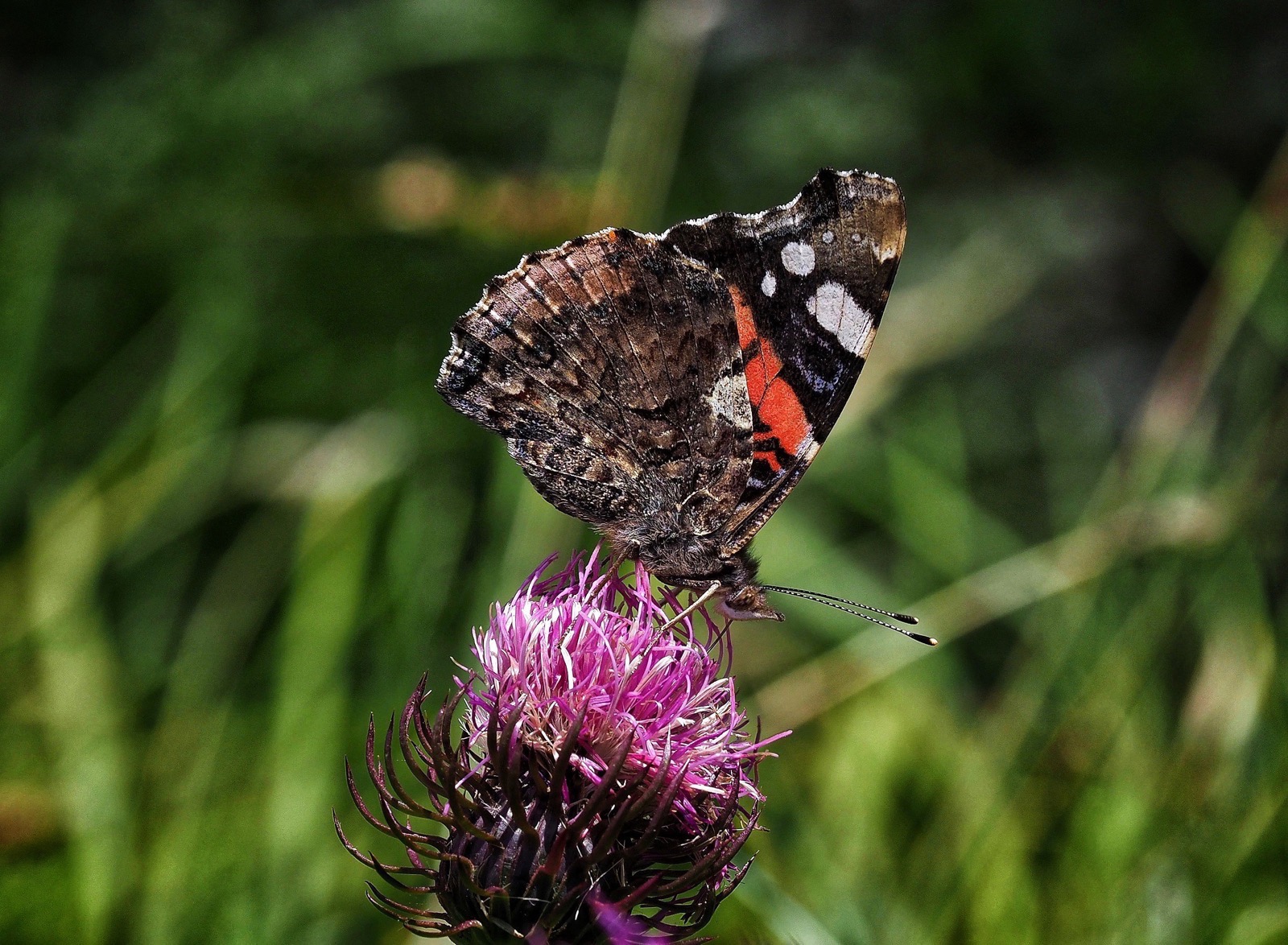 Un momento di leggerezza