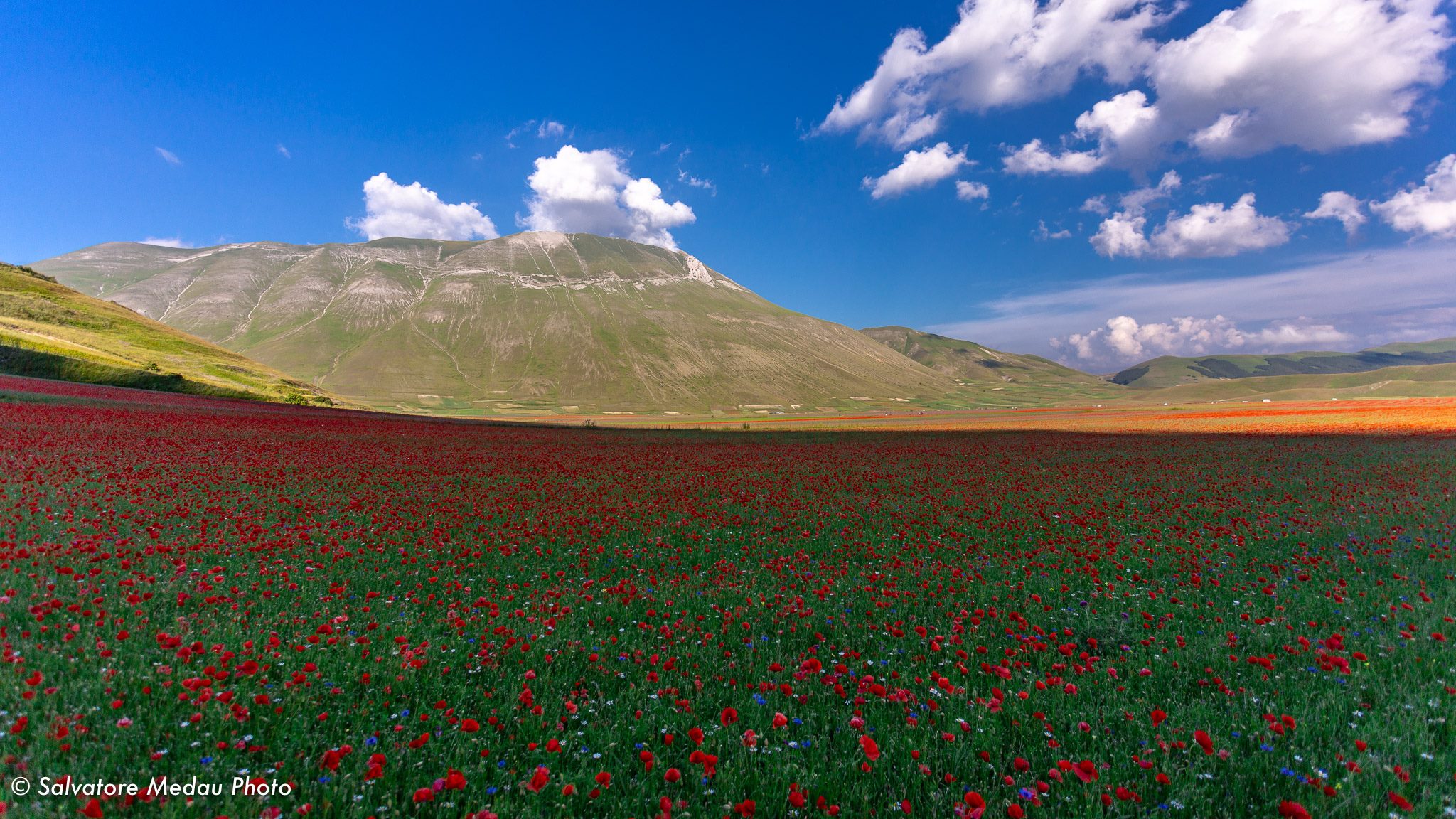 Castelluccio and Mount Carrier