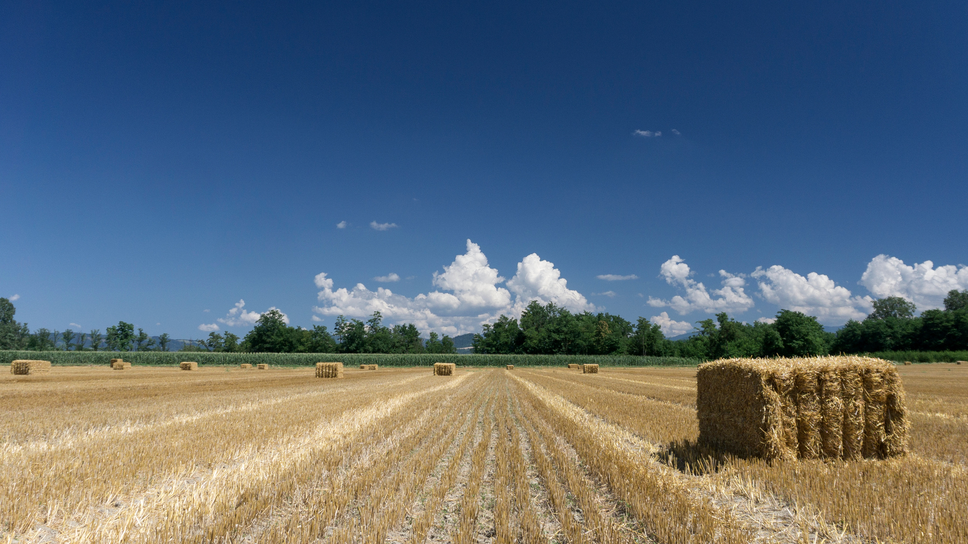 Paglia - Tortona (al)