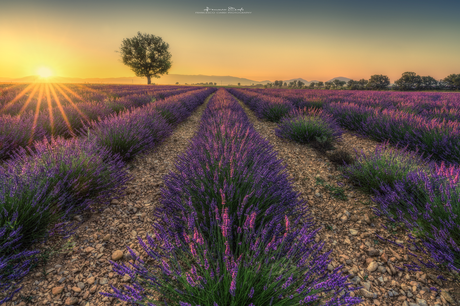Sunrise in Provence