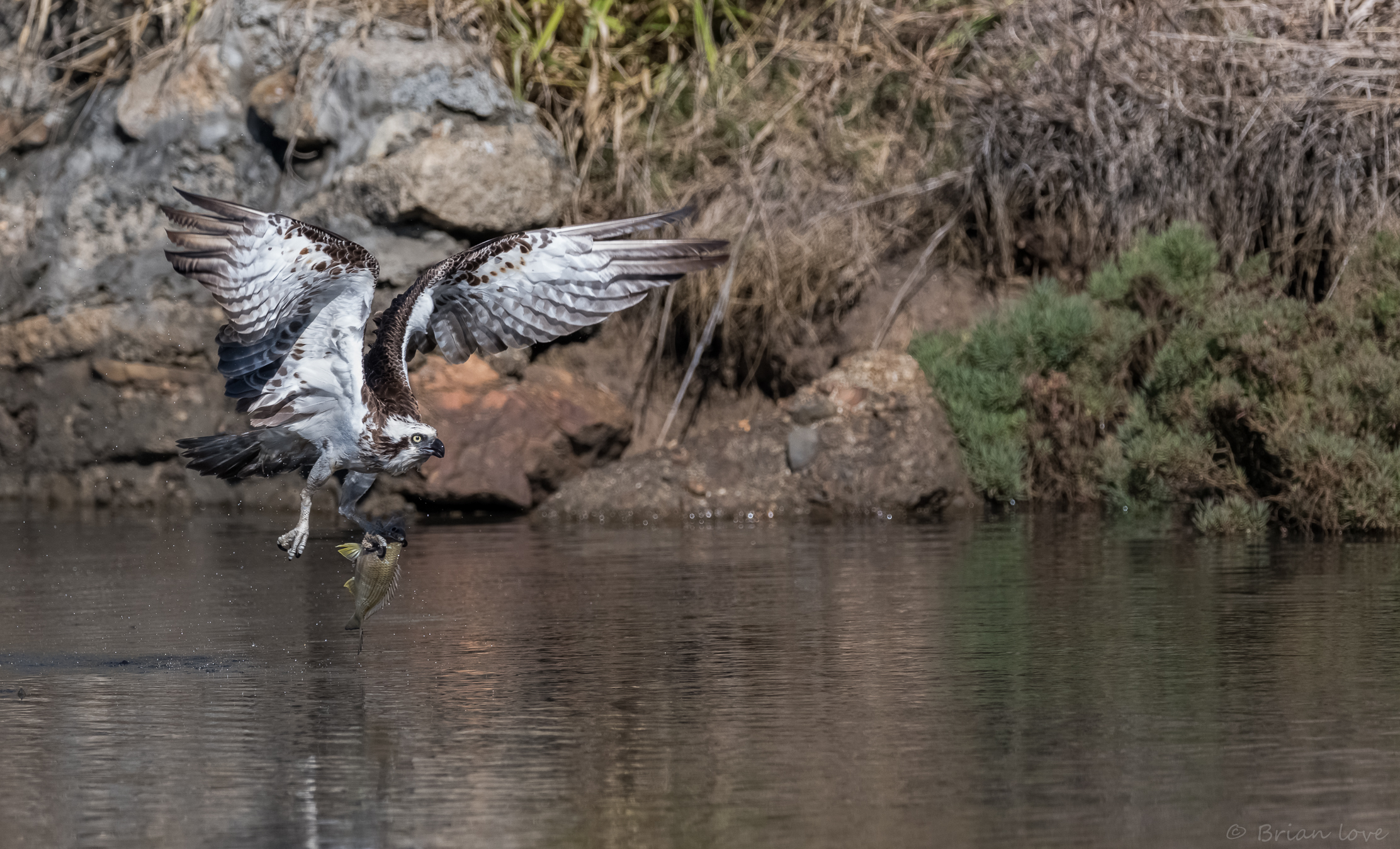 Sushi fresco è meglio!