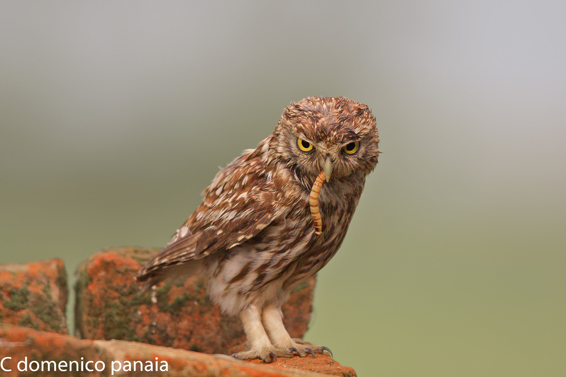 But you look at yourself