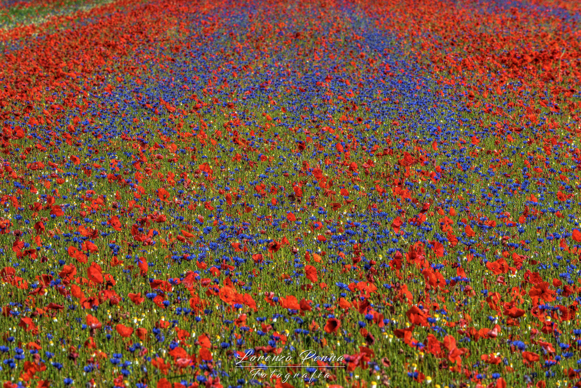 Castelluccio