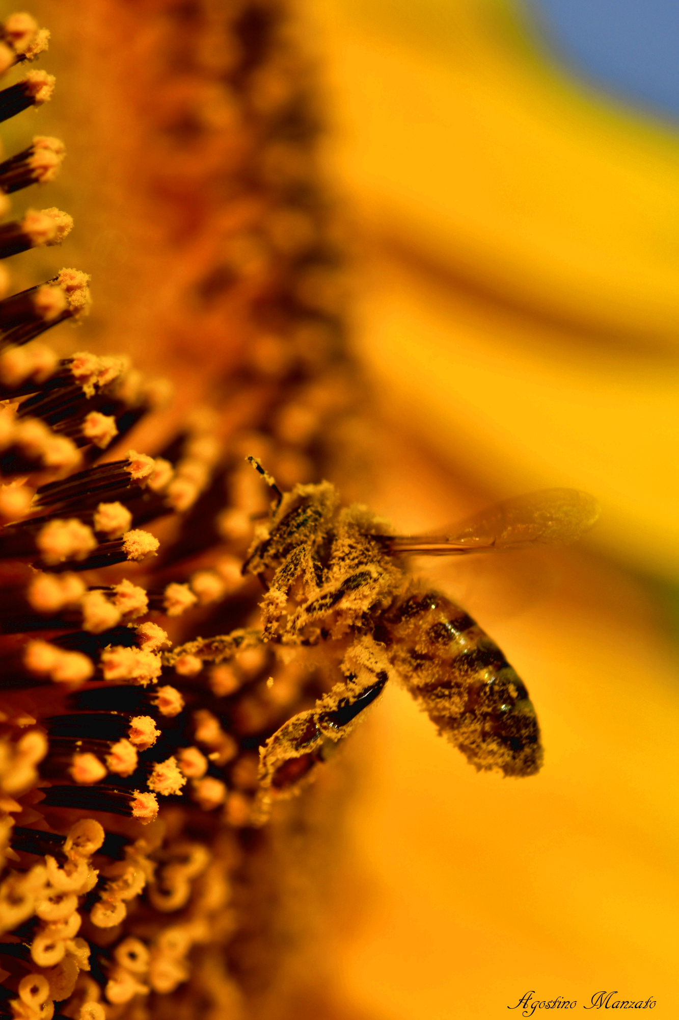 A dirty job, but someone has to do it