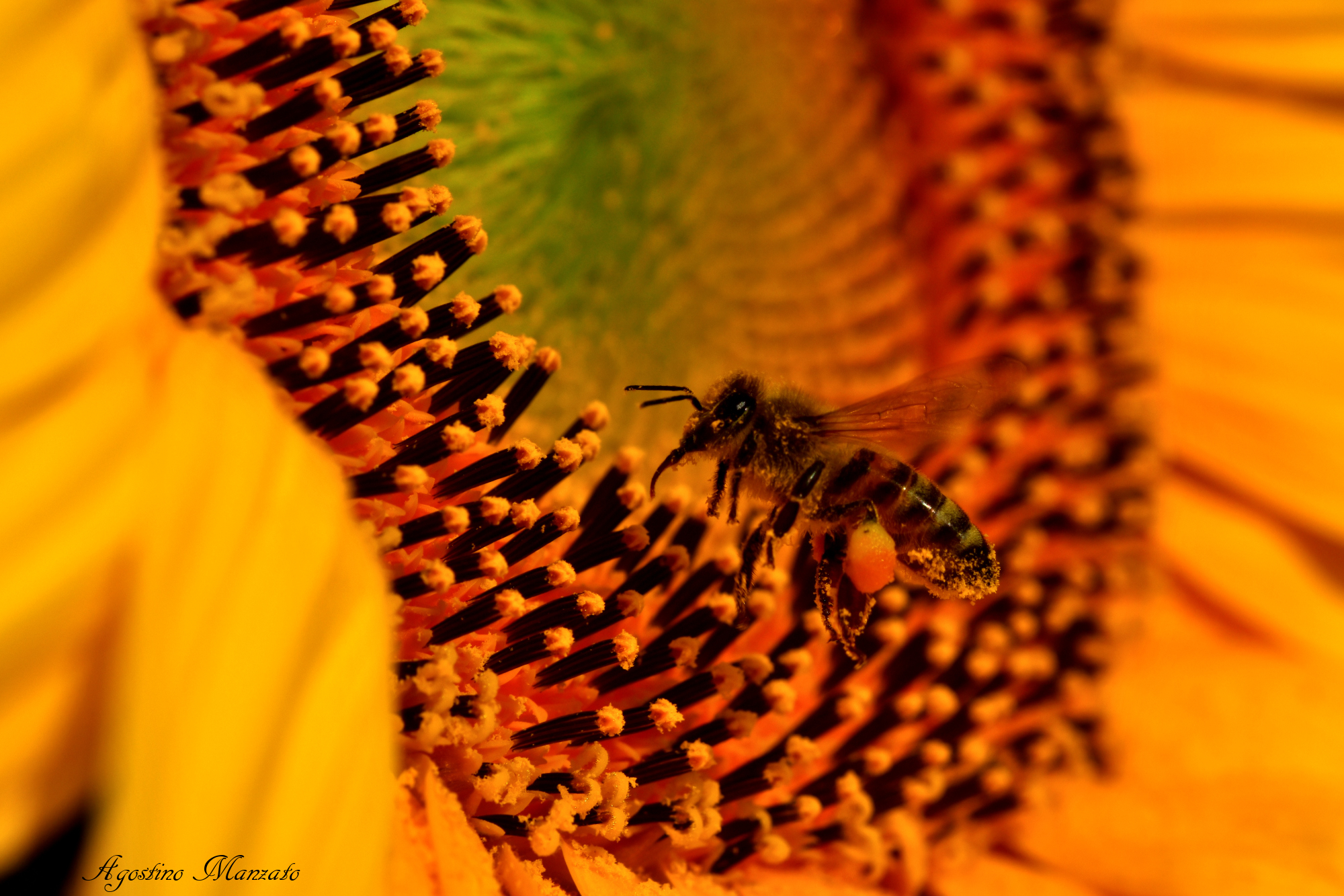 With the Treasury in answers