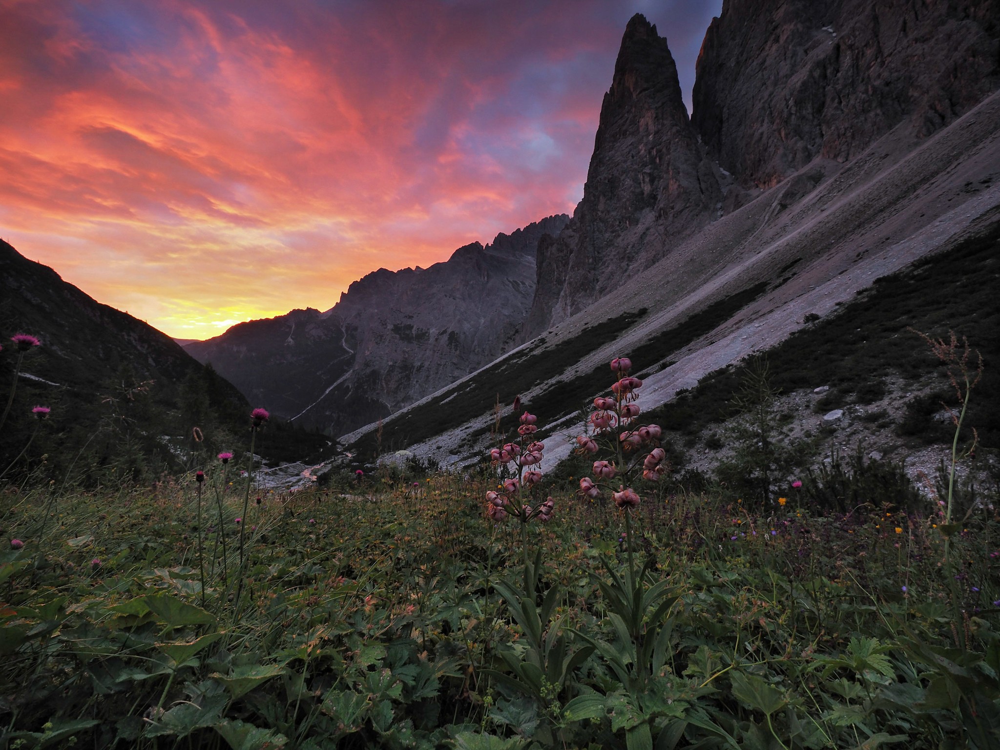 Towards the Locatelli