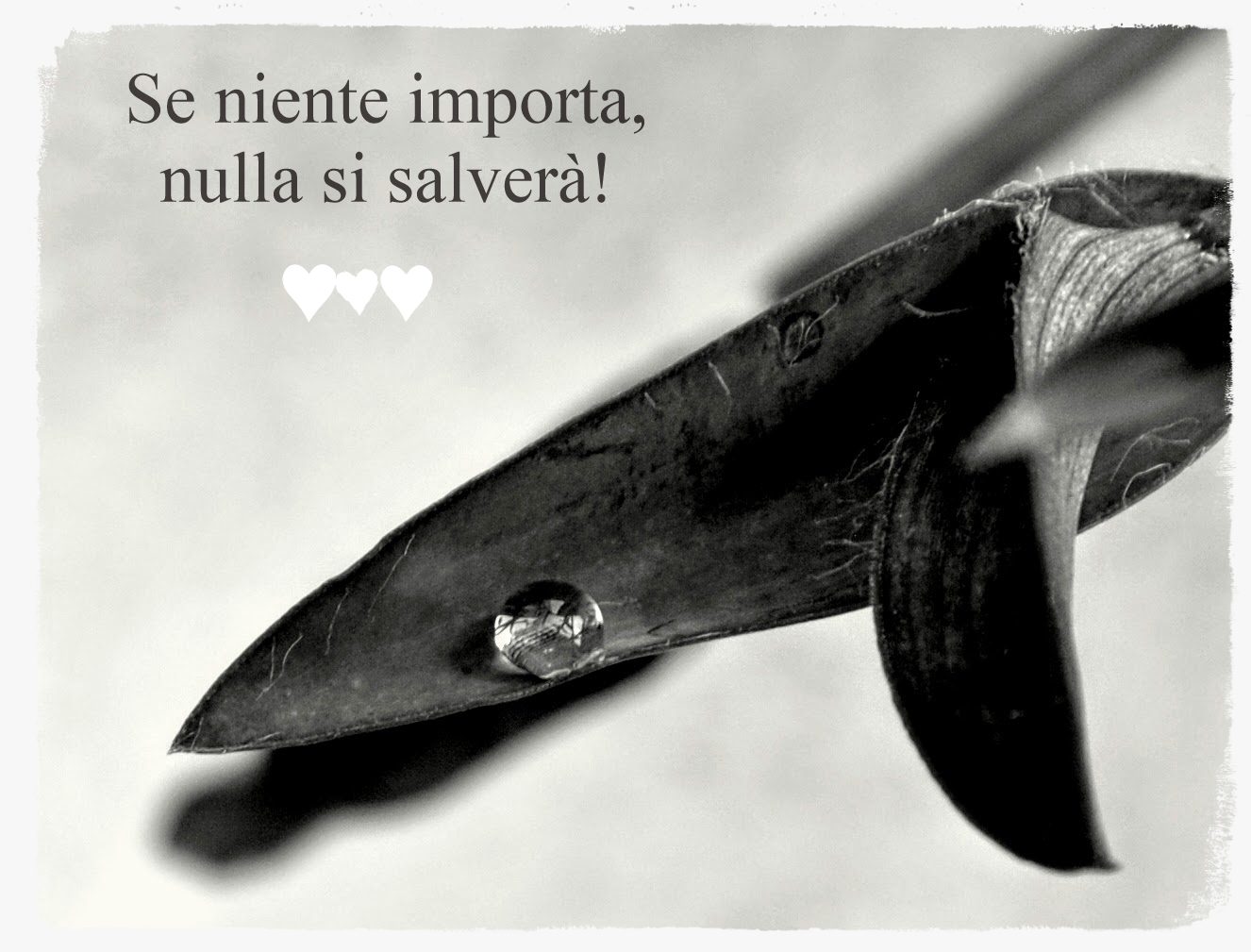 The simplicity of the little things...