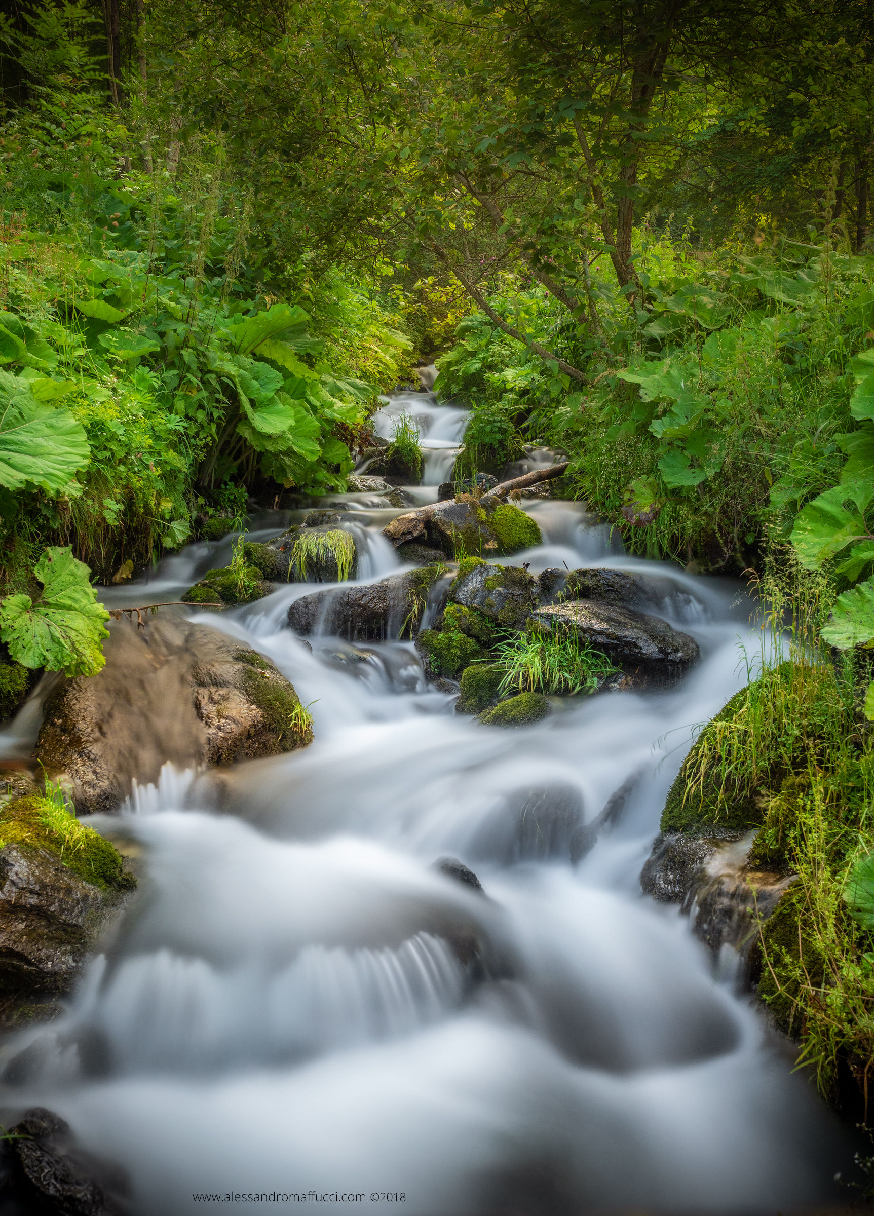 Torrentello alpino al tramonto