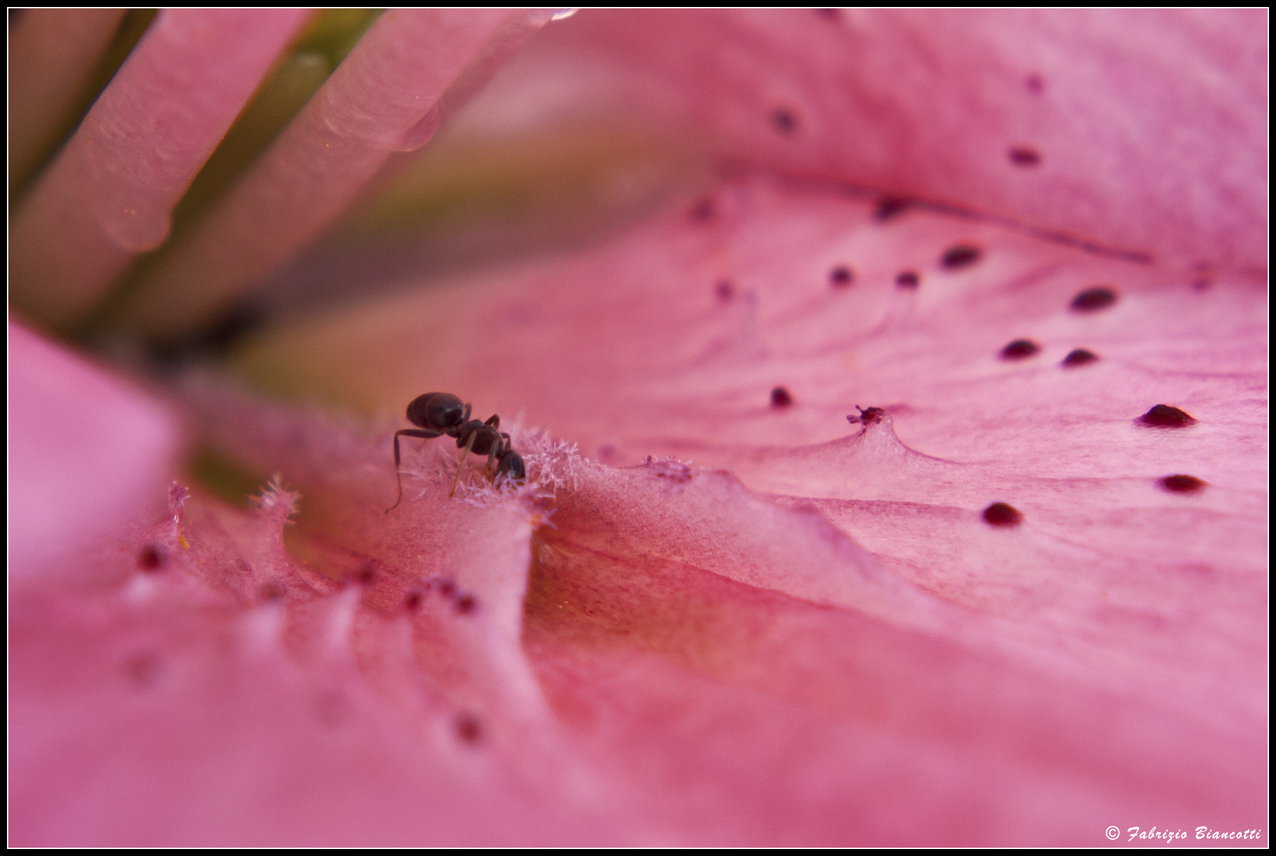 Un mondo inesplorato