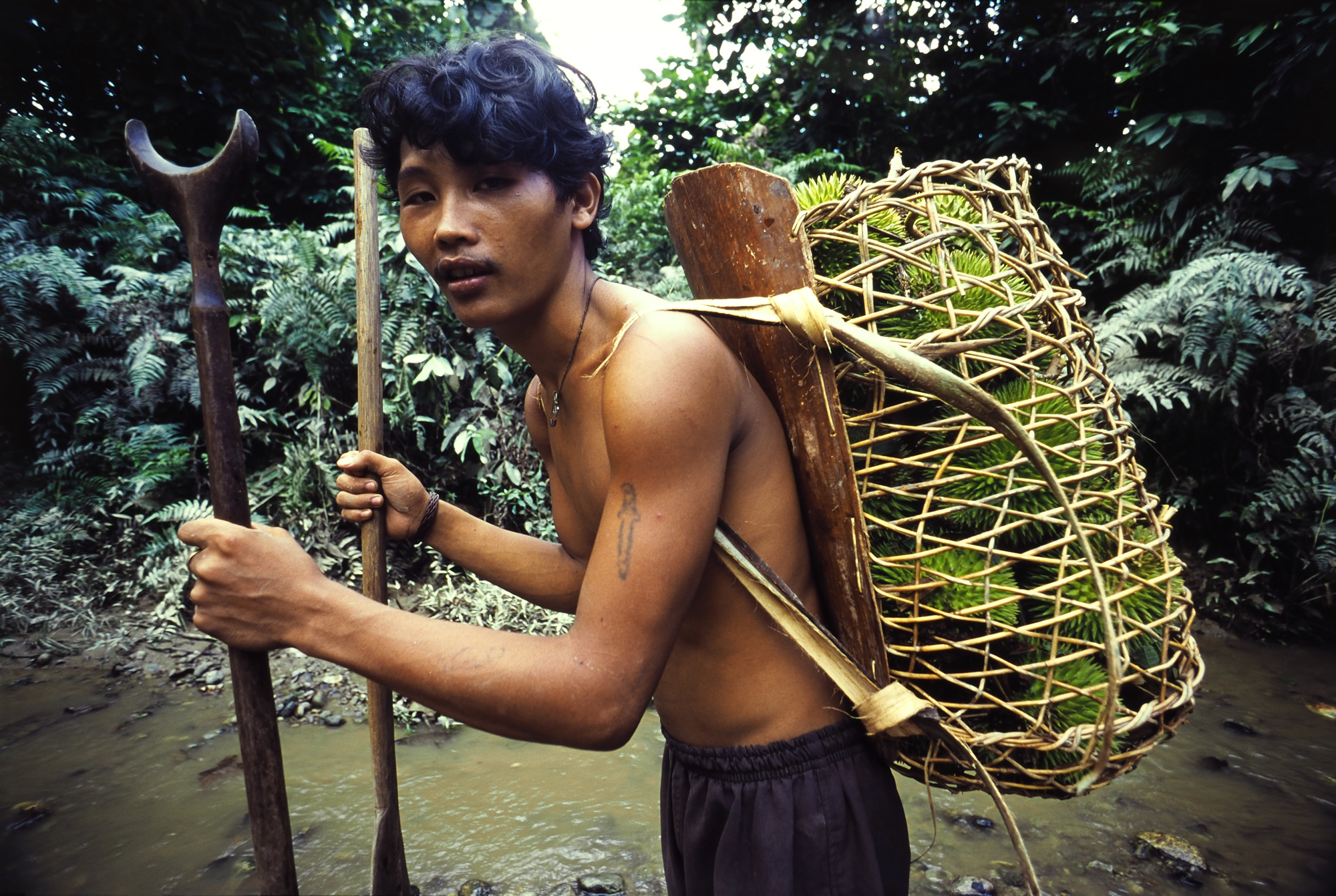 Boy caryring A basket of durian fruits, Mentawai people