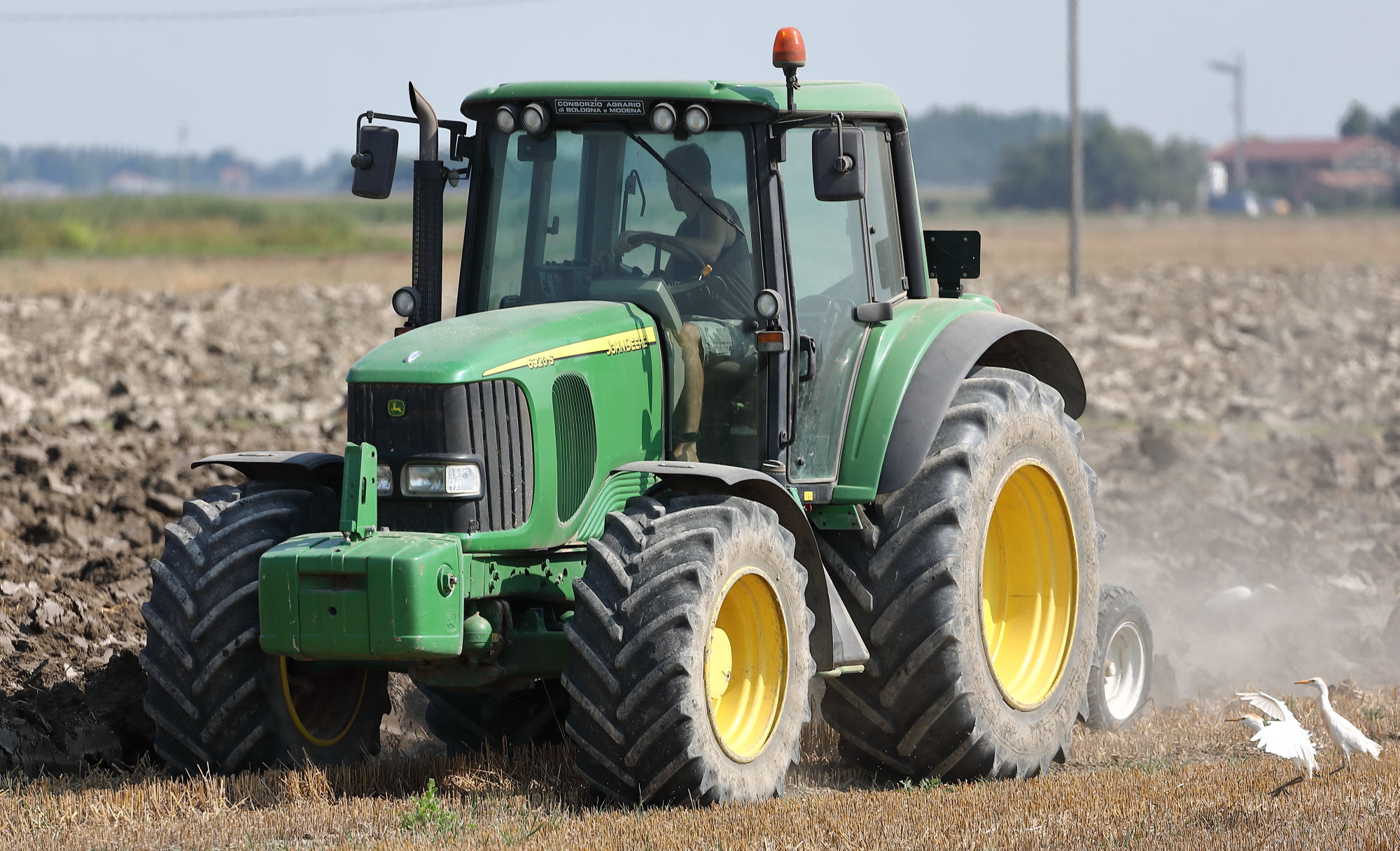 Aratura con due spettatori interessati... ;-))