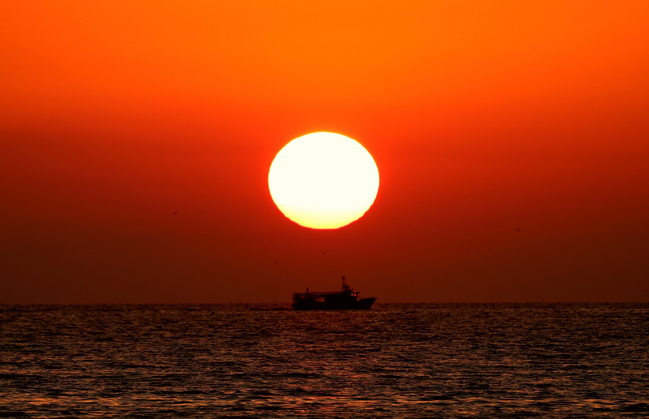 Single.. and the Sun