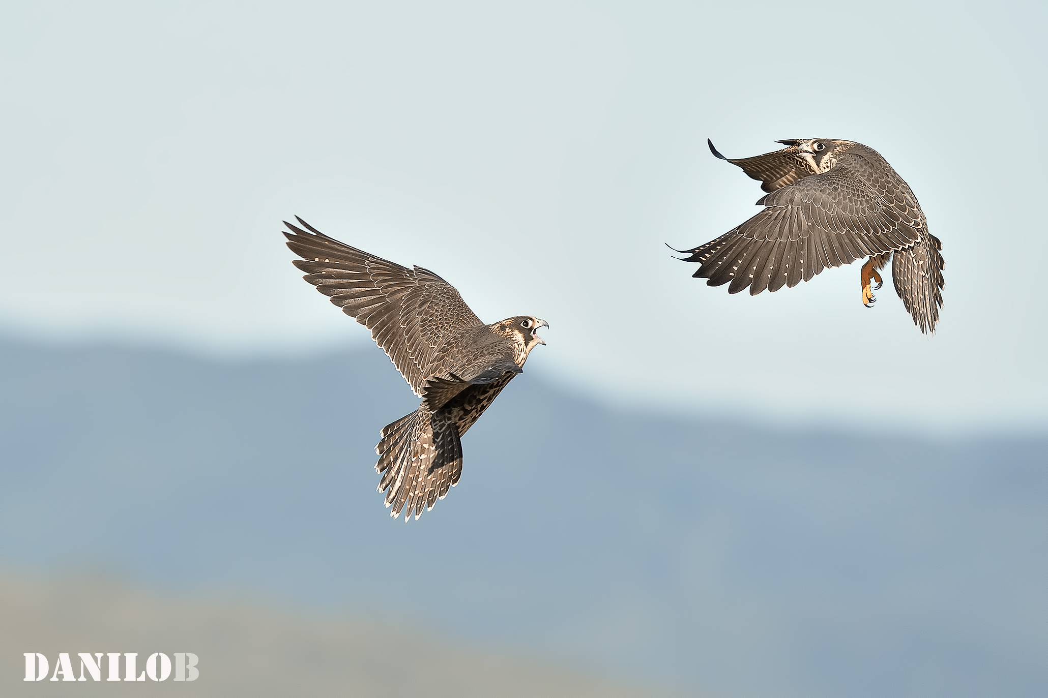 Skirmishes between young people