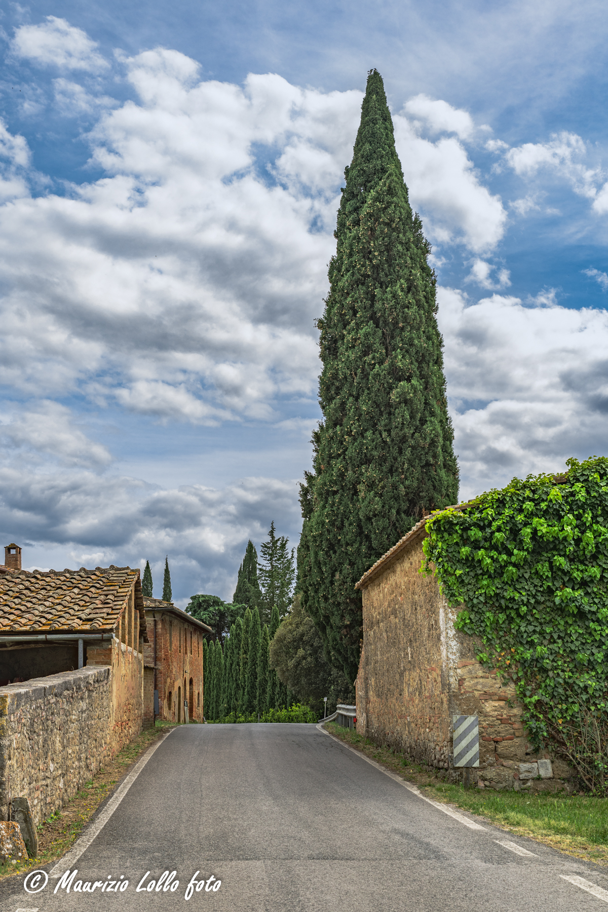 Sulla Via per Monte Oliveto
