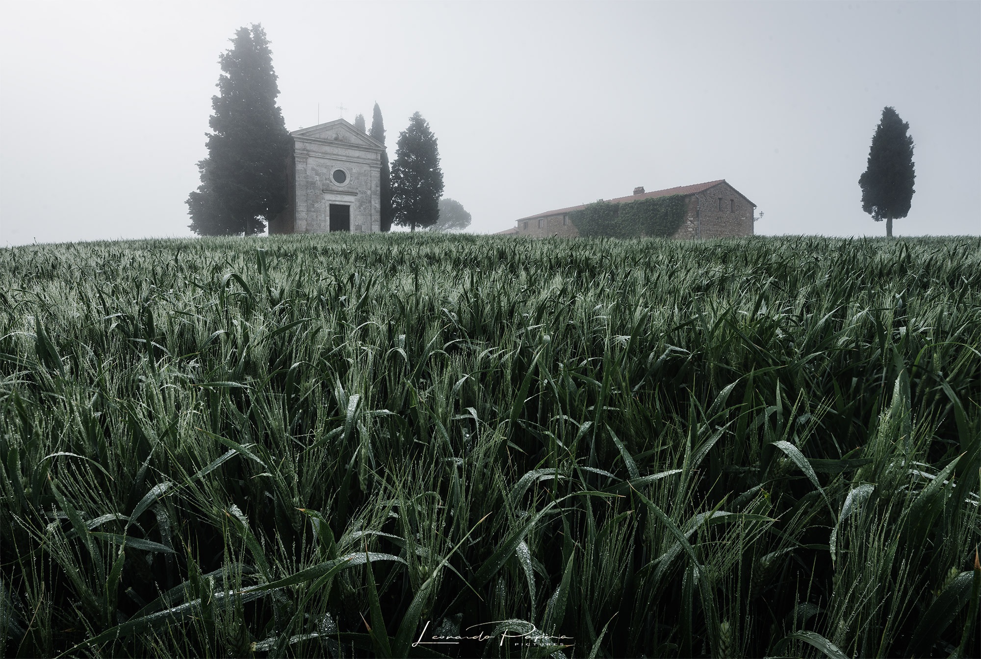 Mistery Light