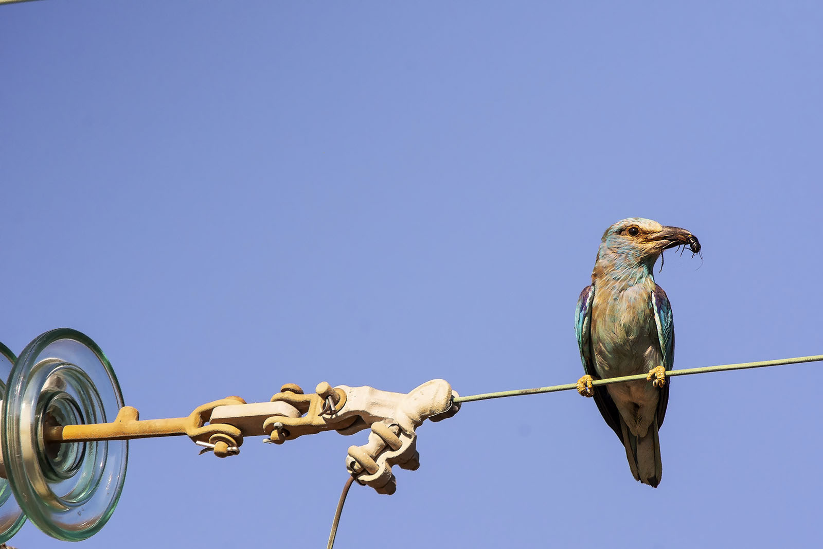 Sull'attacco del filo