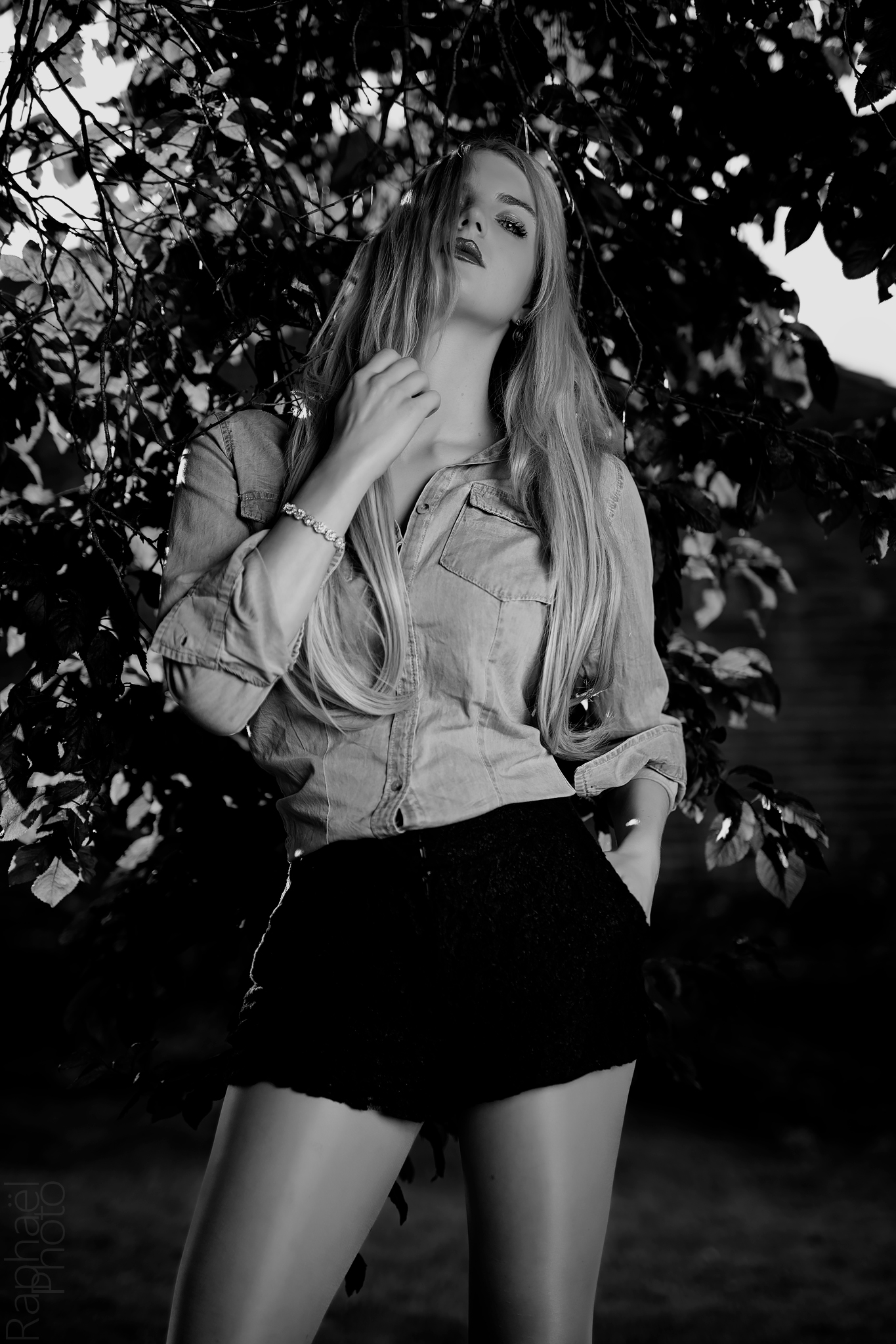 Under The Shade Of Trees