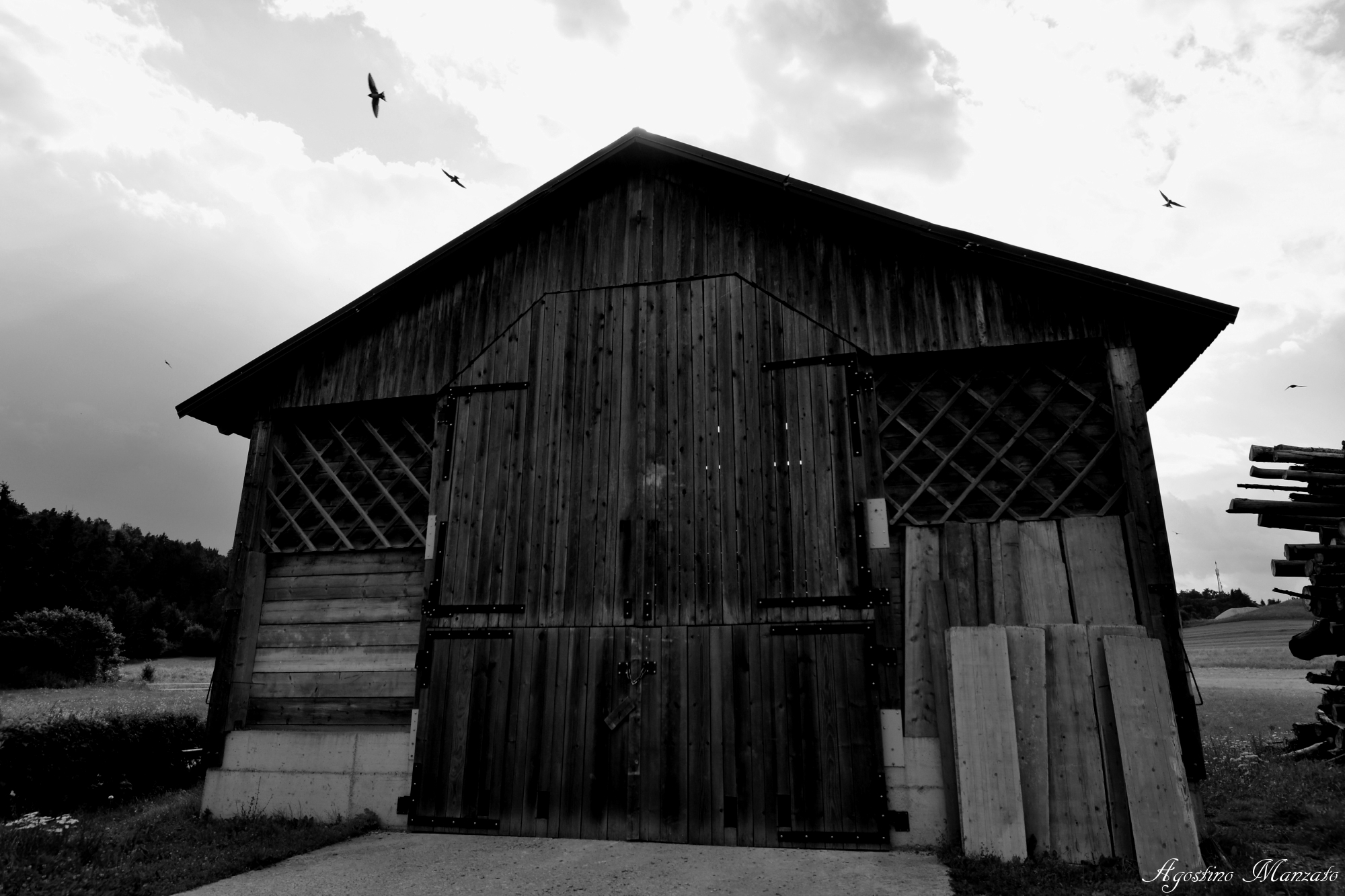 The House of Swallows