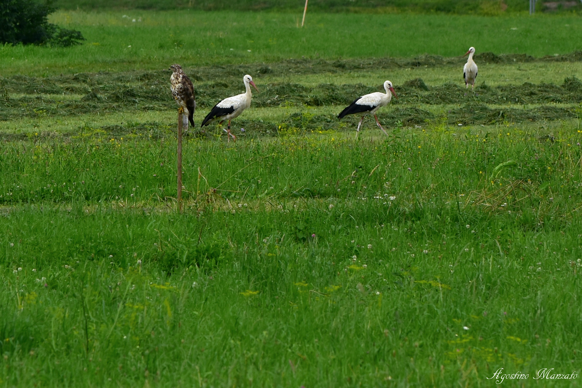 Uh, let's take the trouble off.