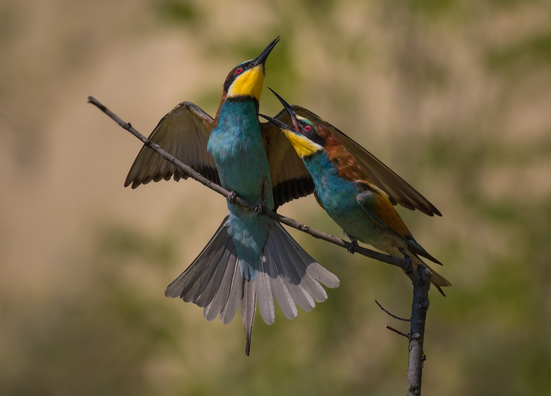 c'è tensione quando i figli se ne vanno da casa